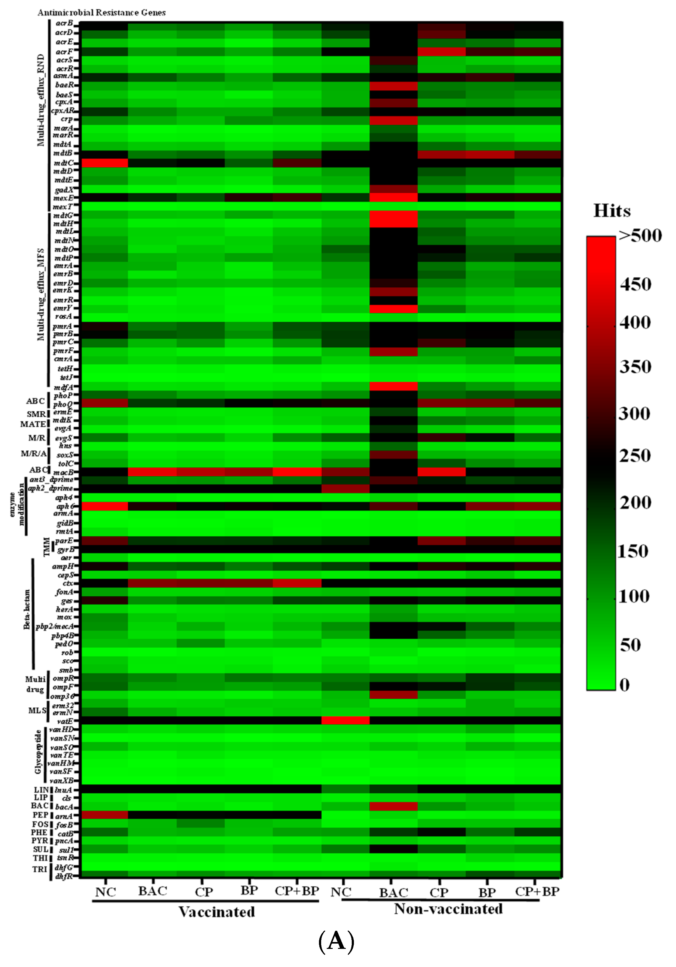 Microorganisms 11 01184 g004a