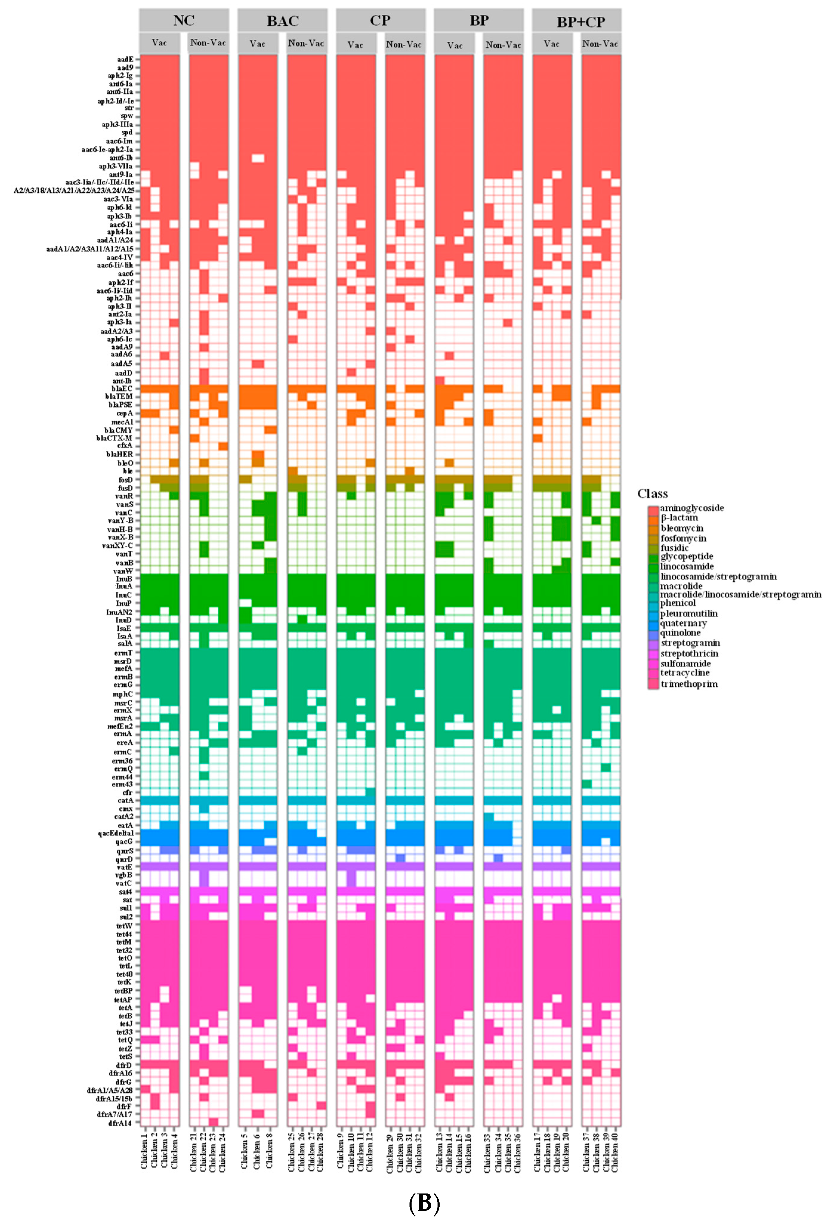 Microorganisms 11 01184 g004b