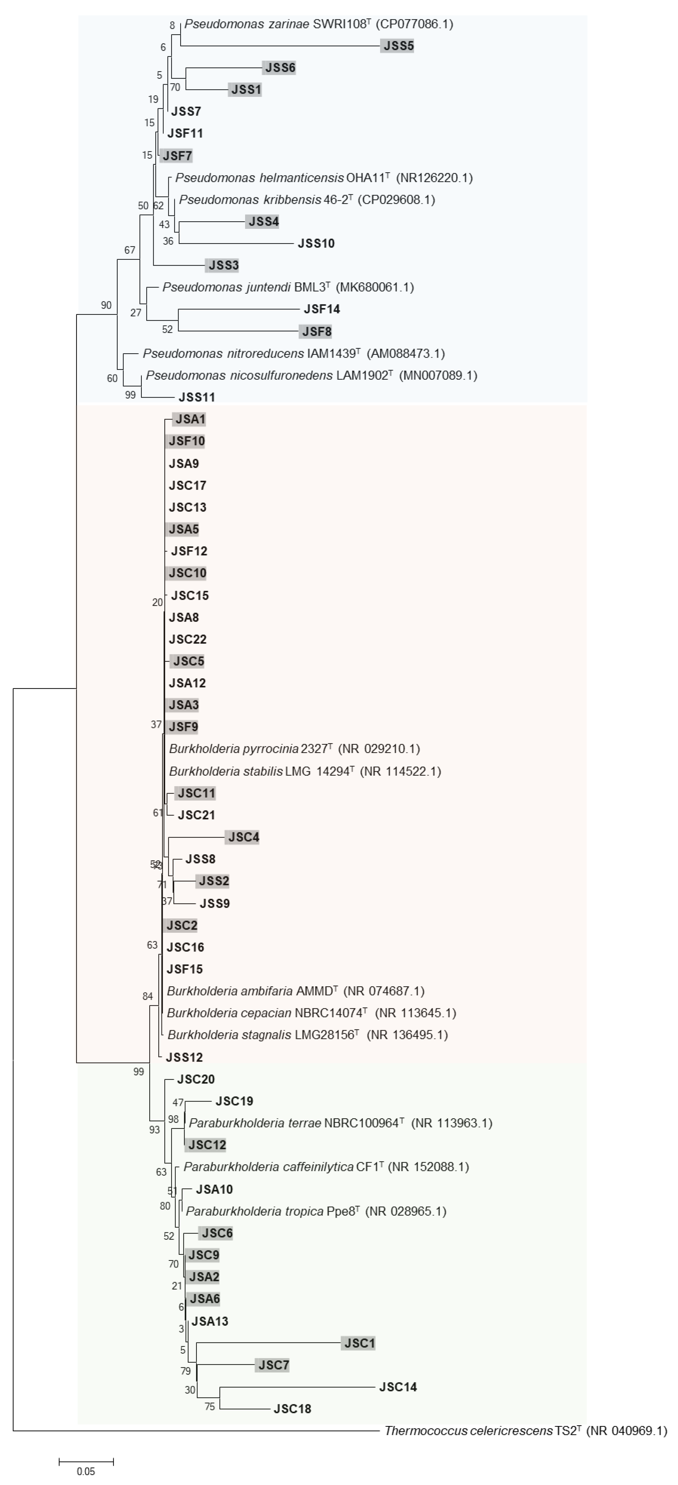 Microorganisms 11 01193 g006 Microorganisms 11 01193 g006