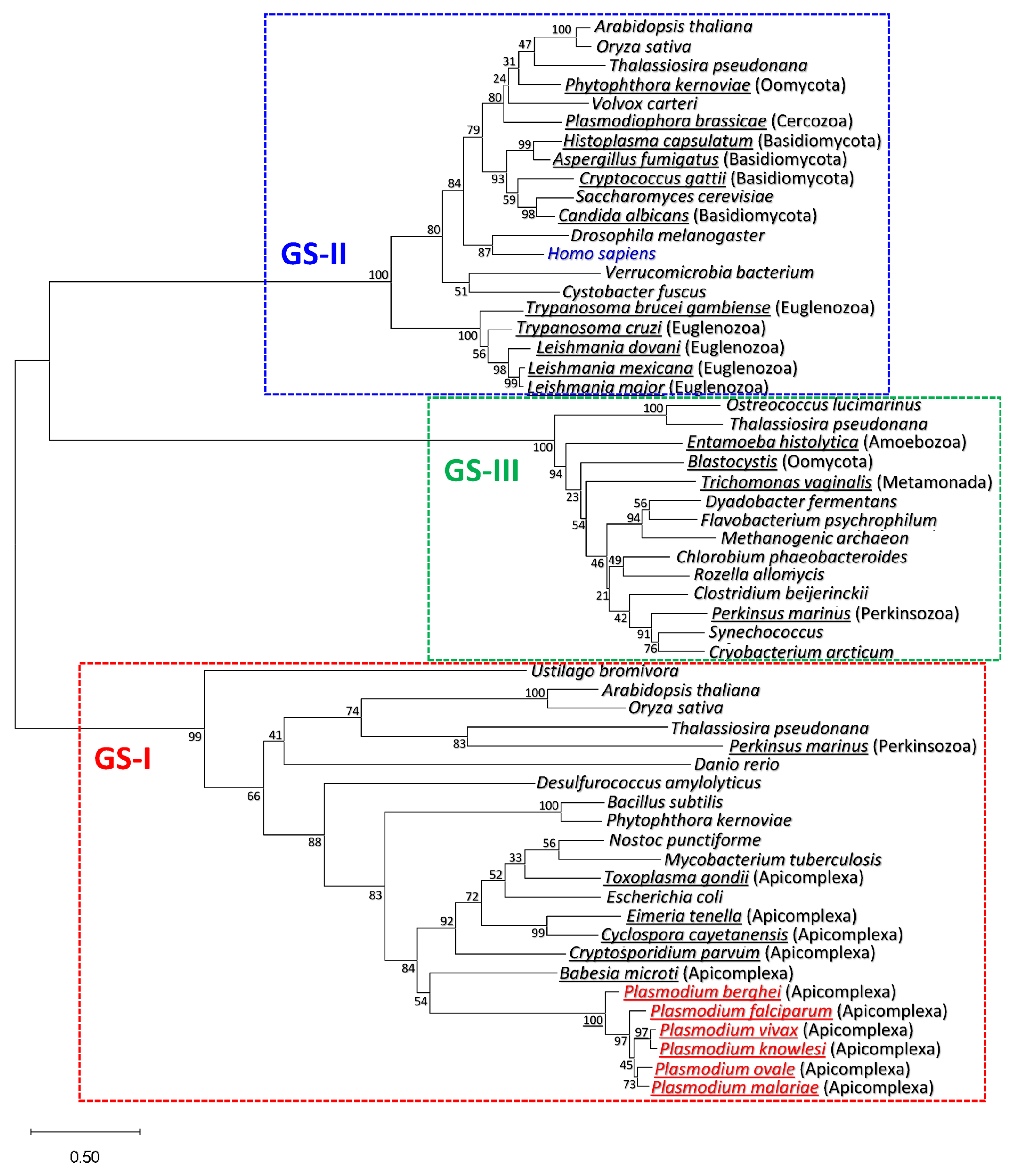 Microorganisms 11 01195 g001 Microorganisms 11 01195 g001