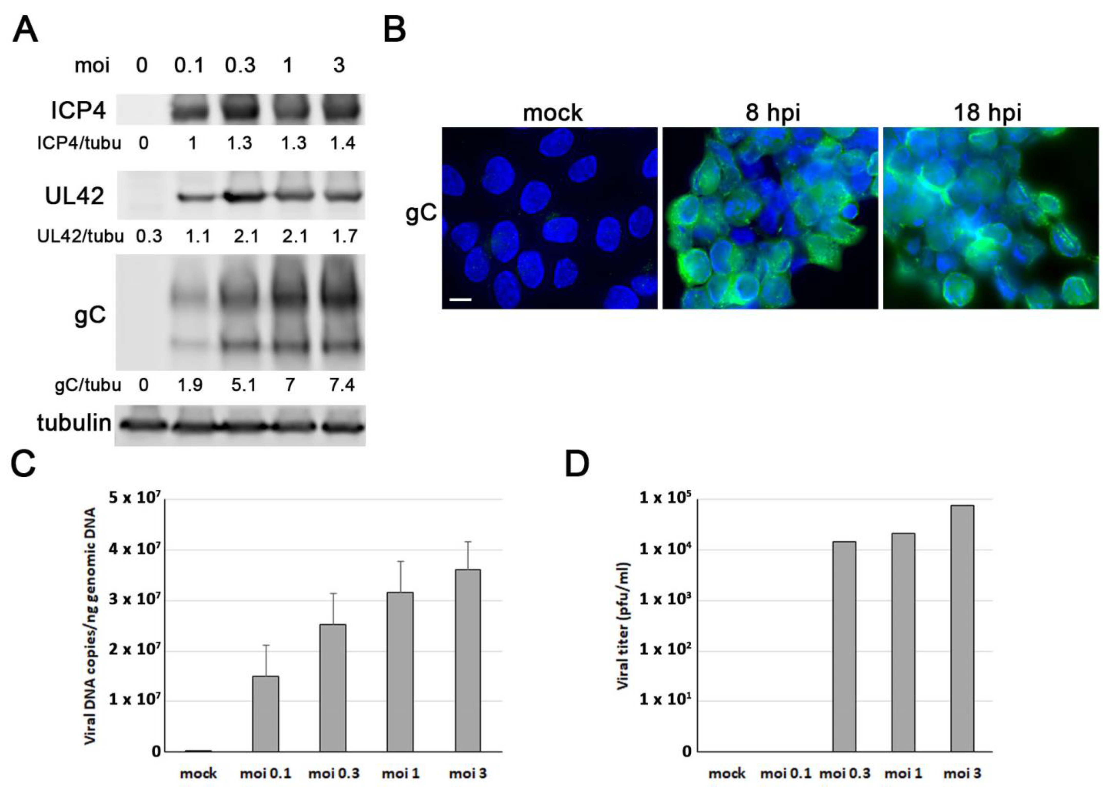 Microorganisms 11 01205 g002 Microorganisms 11 01205 g002