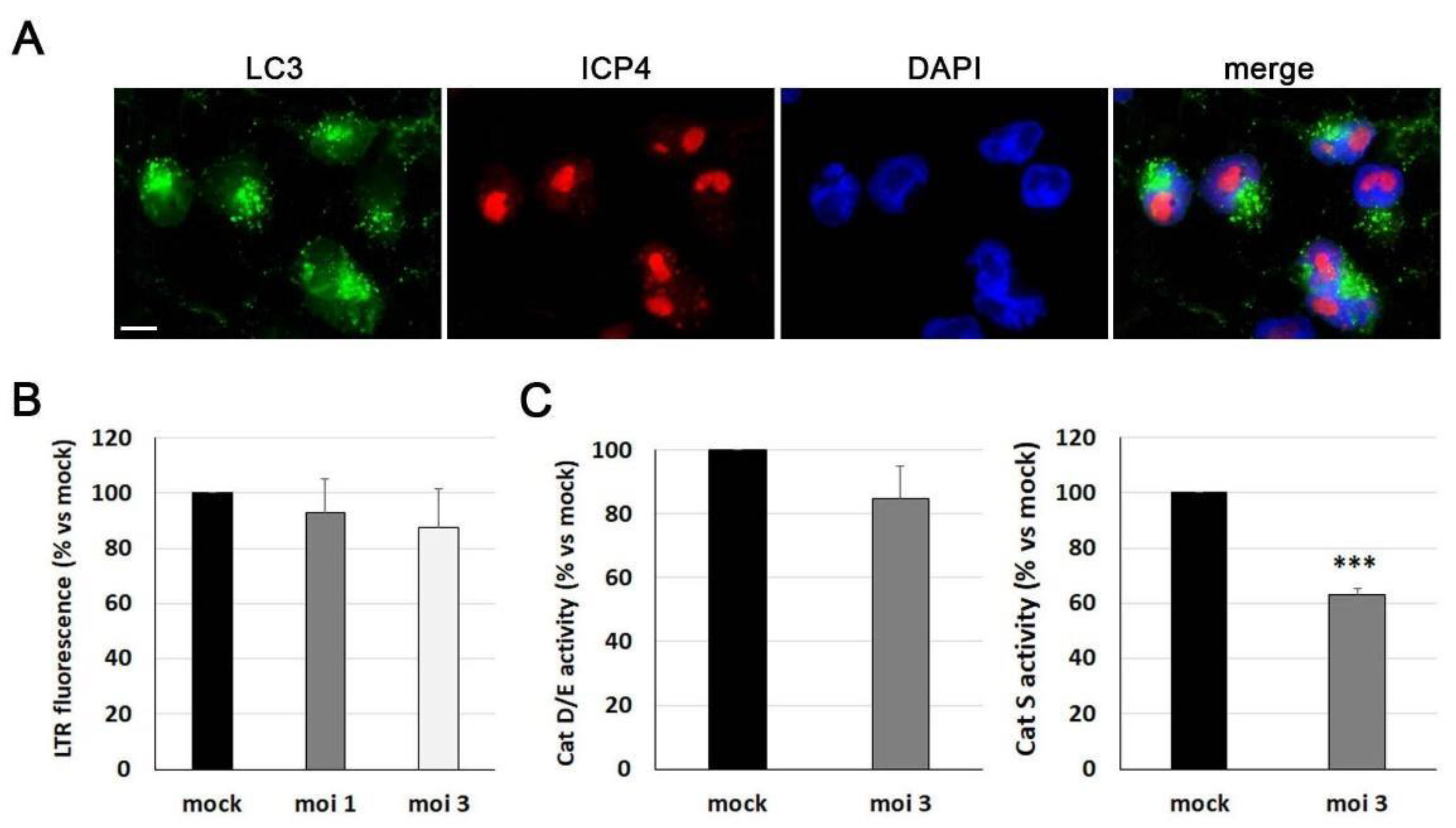 Microorganisms 11 01205 g007 Microorganisms 11 01205 g007