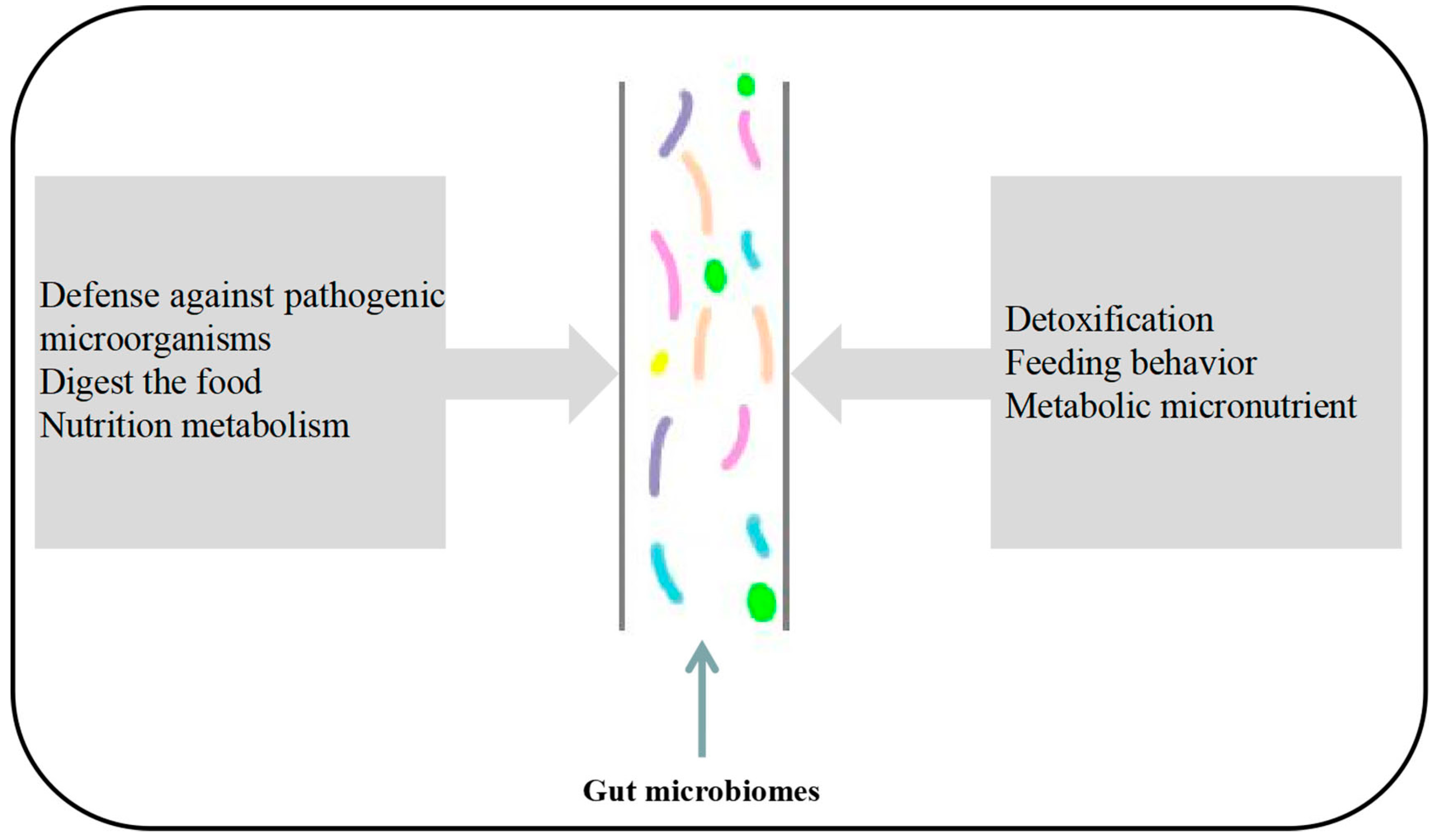 Microorganisms 11 01208 g001