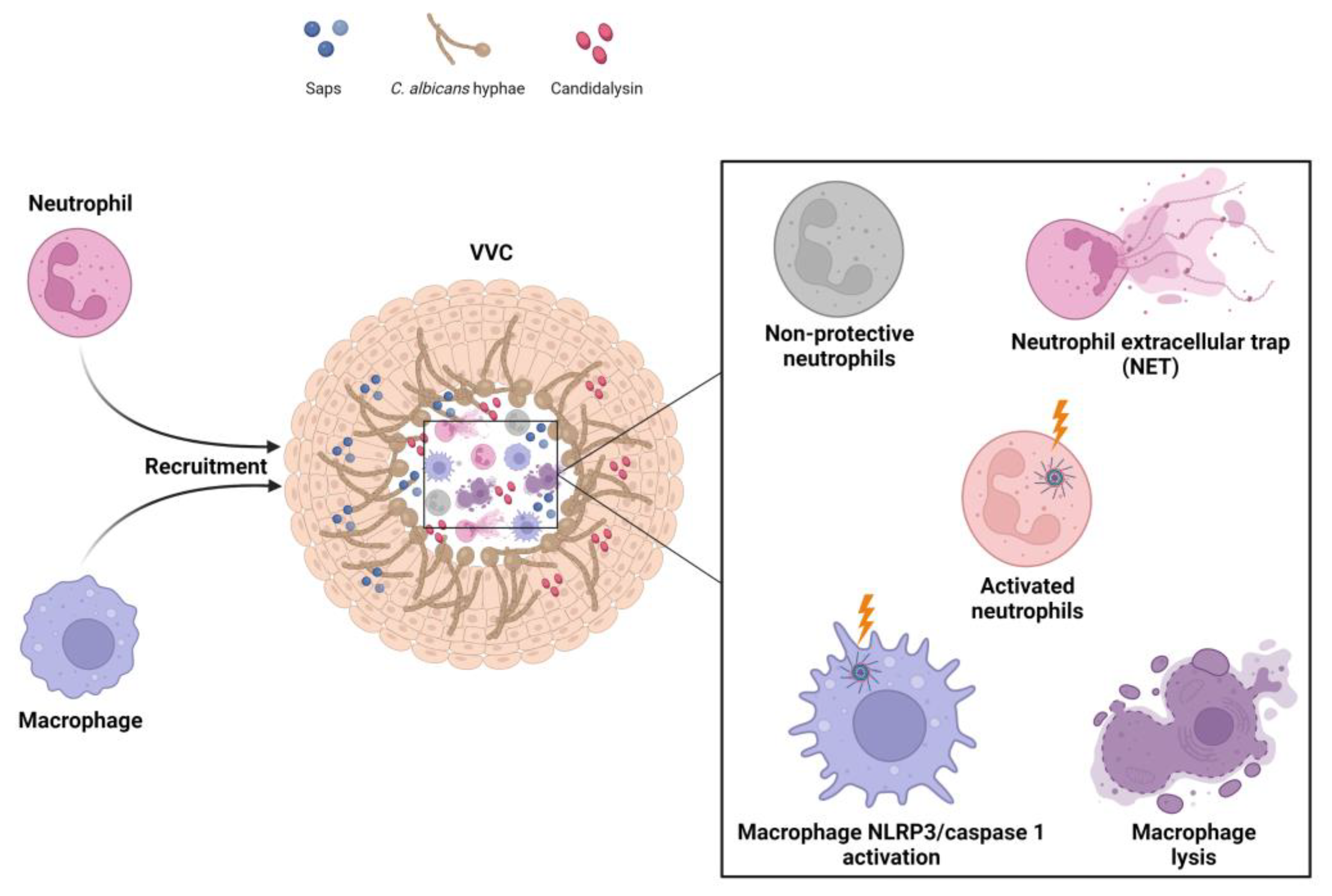 Microorganisms 11 01211 g002 Microorganisms 11 01211 g002