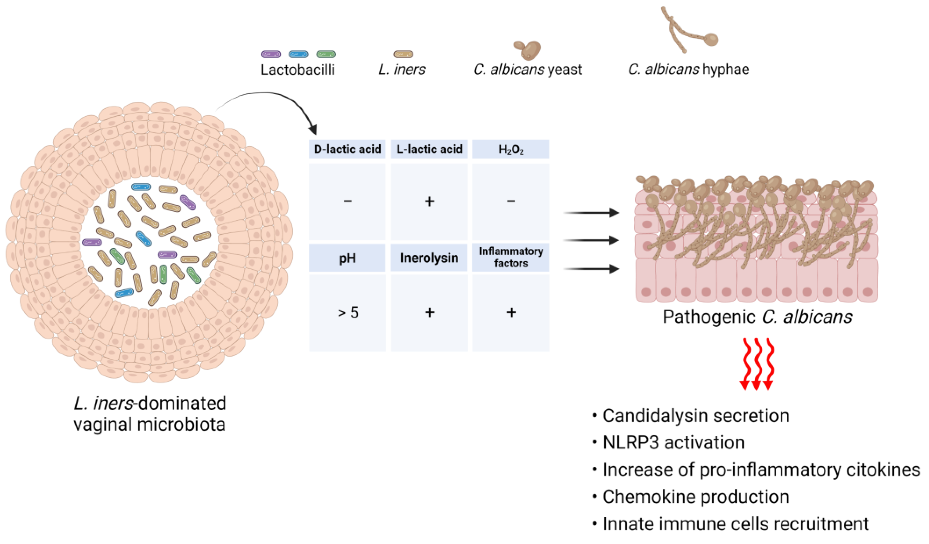 Microorganisms 11 01211 g004 Microorganisms 11 01211 g004