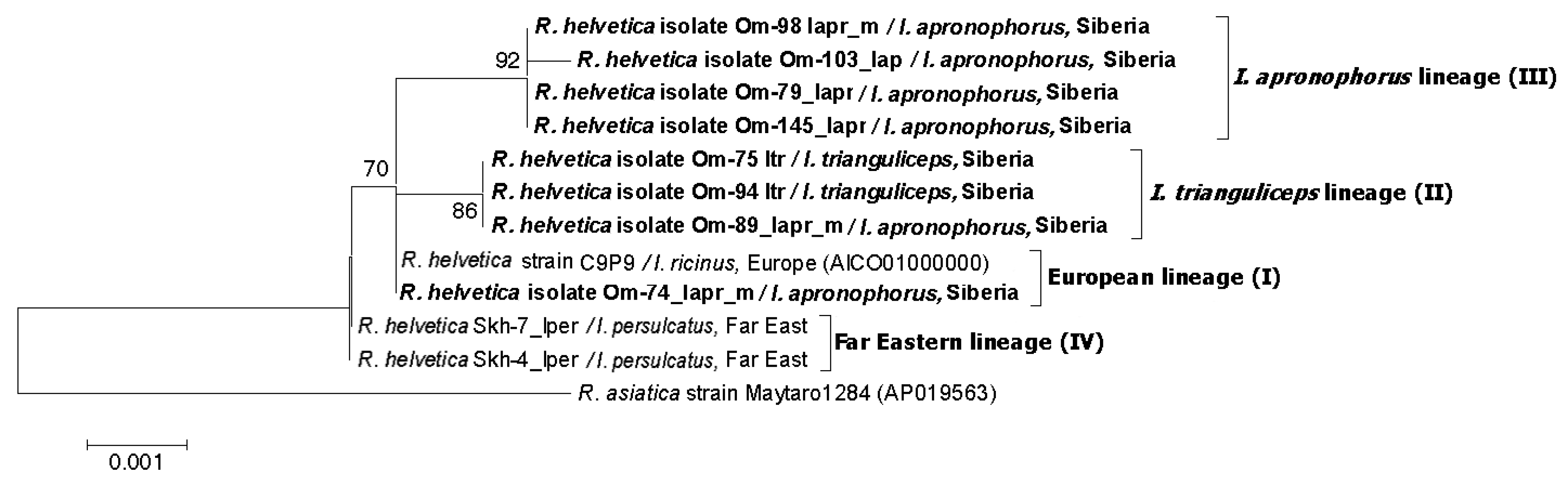 Microorganisms 11 01215 g003 Microorganisms 11 01215 g003