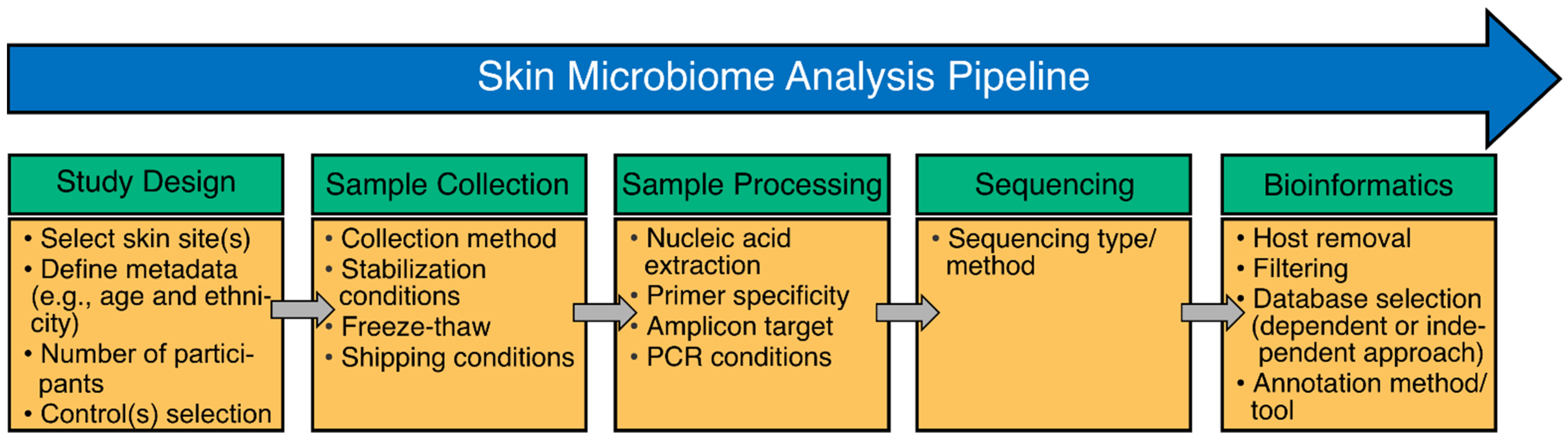 The Skin Microbiome: Current Techniques, Challenges, and Future 
