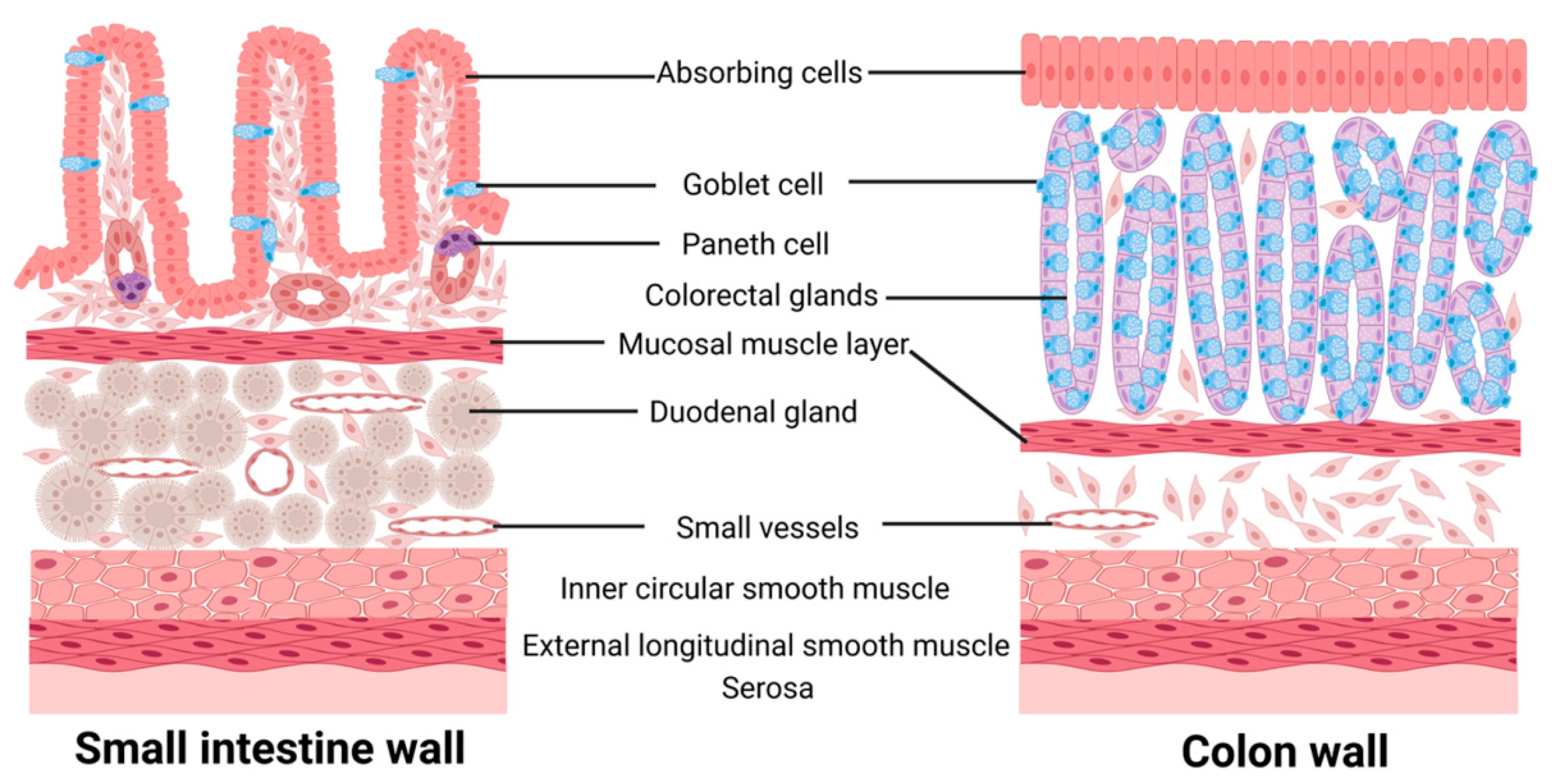 Microorganisms 11 01223 g001 Microorganisms 11 01223 g001
