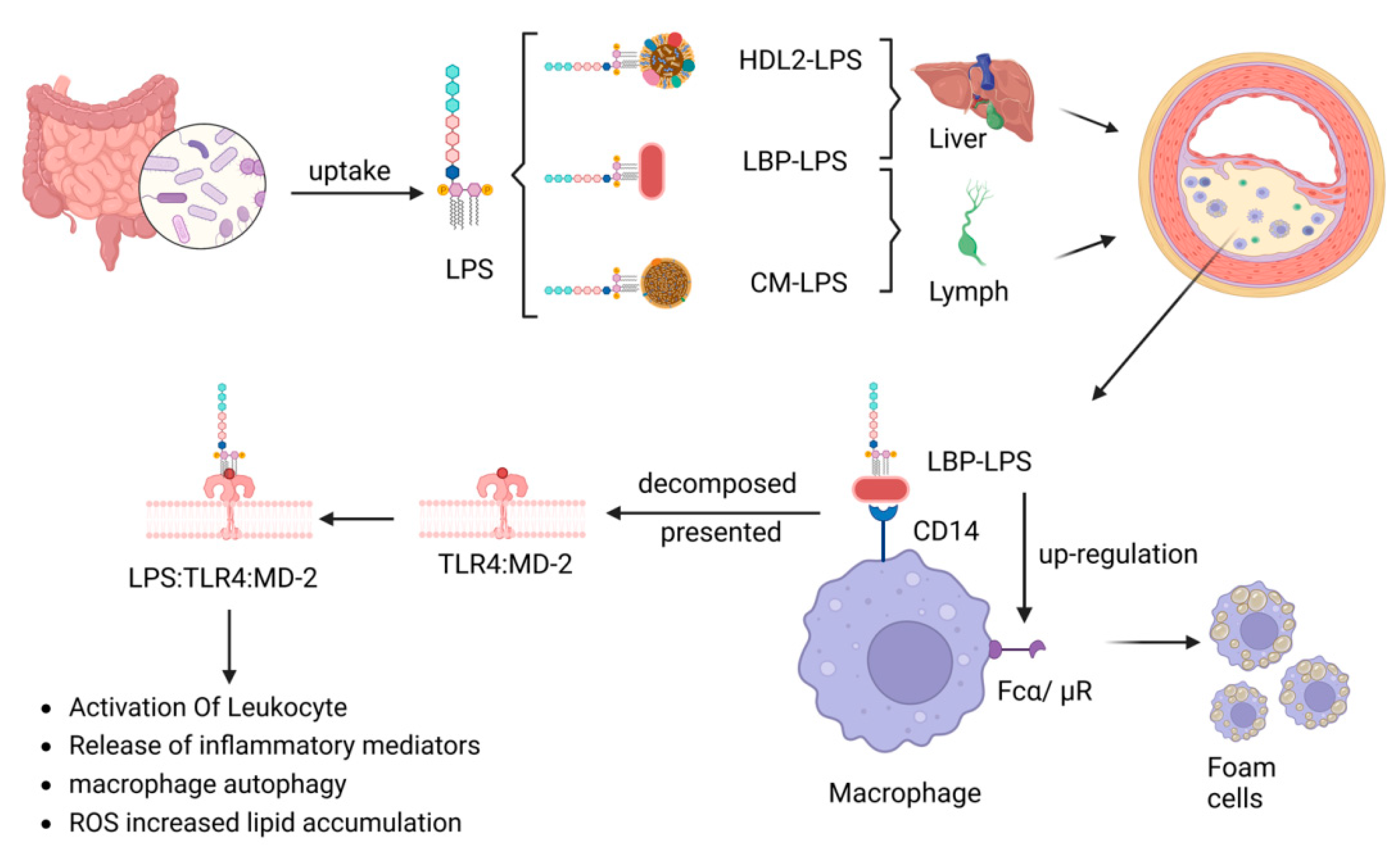 Microorganisms 11 01223 g002 Microorganisms 11 01223 g002