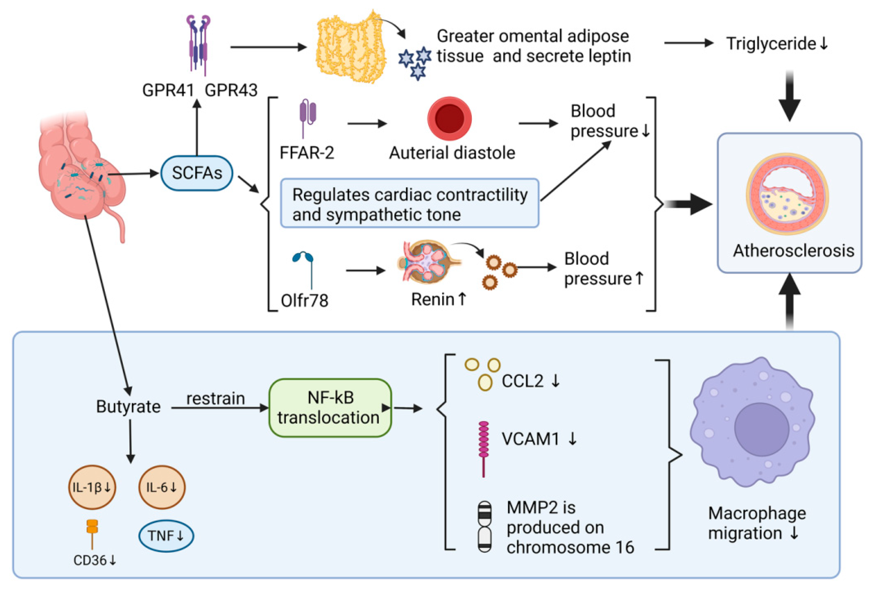 Microorganisms 11 01223 g004 Microorganisms 11 01223 g004