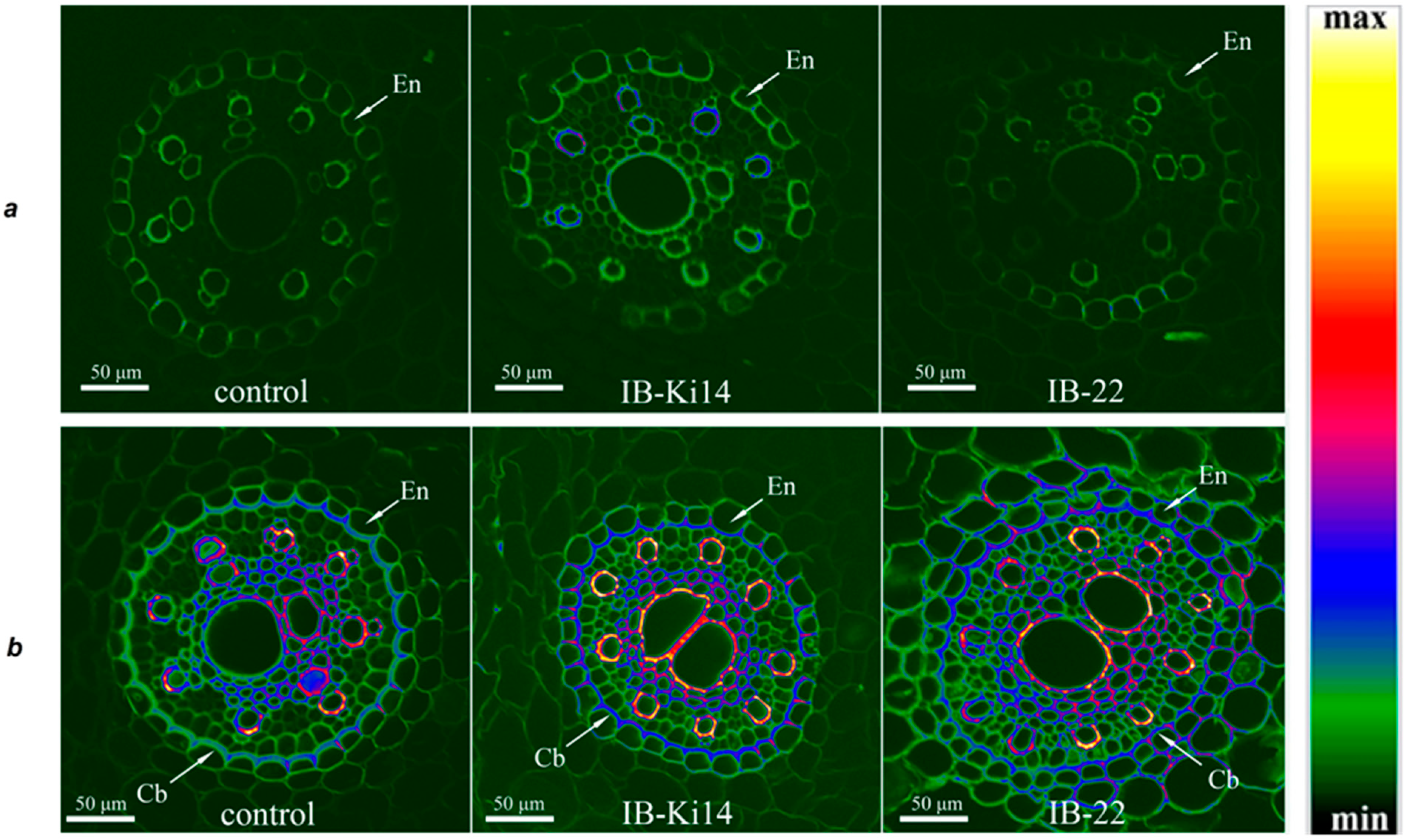 Microorganisms 11 01227 g001