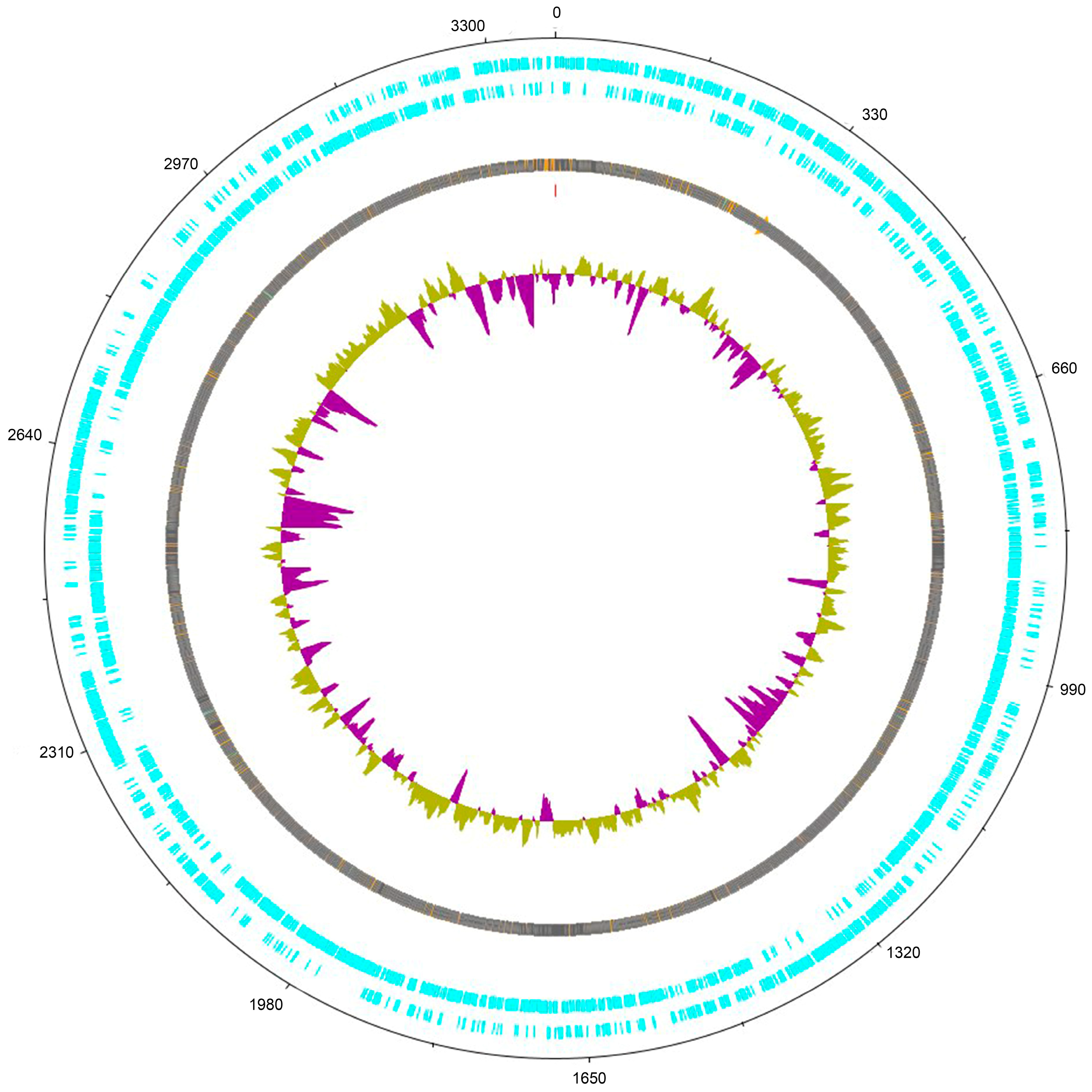 Microorganisms 11 01234 g002 Microorganisms 11 01234 g002