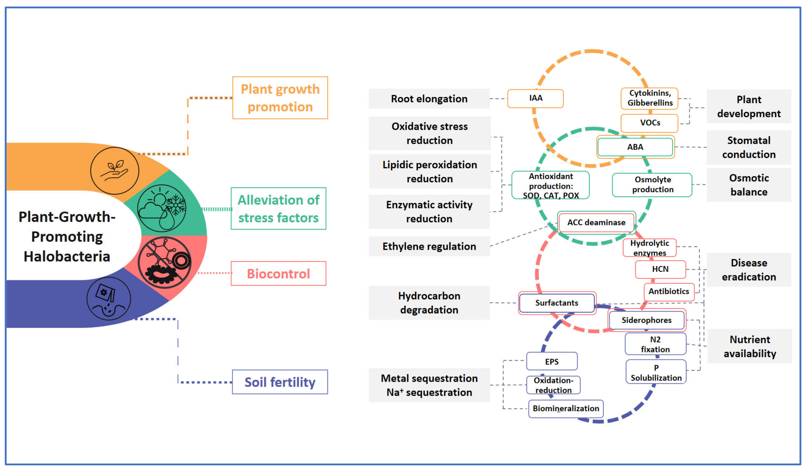 Microorganisms 11 01248 g002 Microorganisms 11 01248 g002