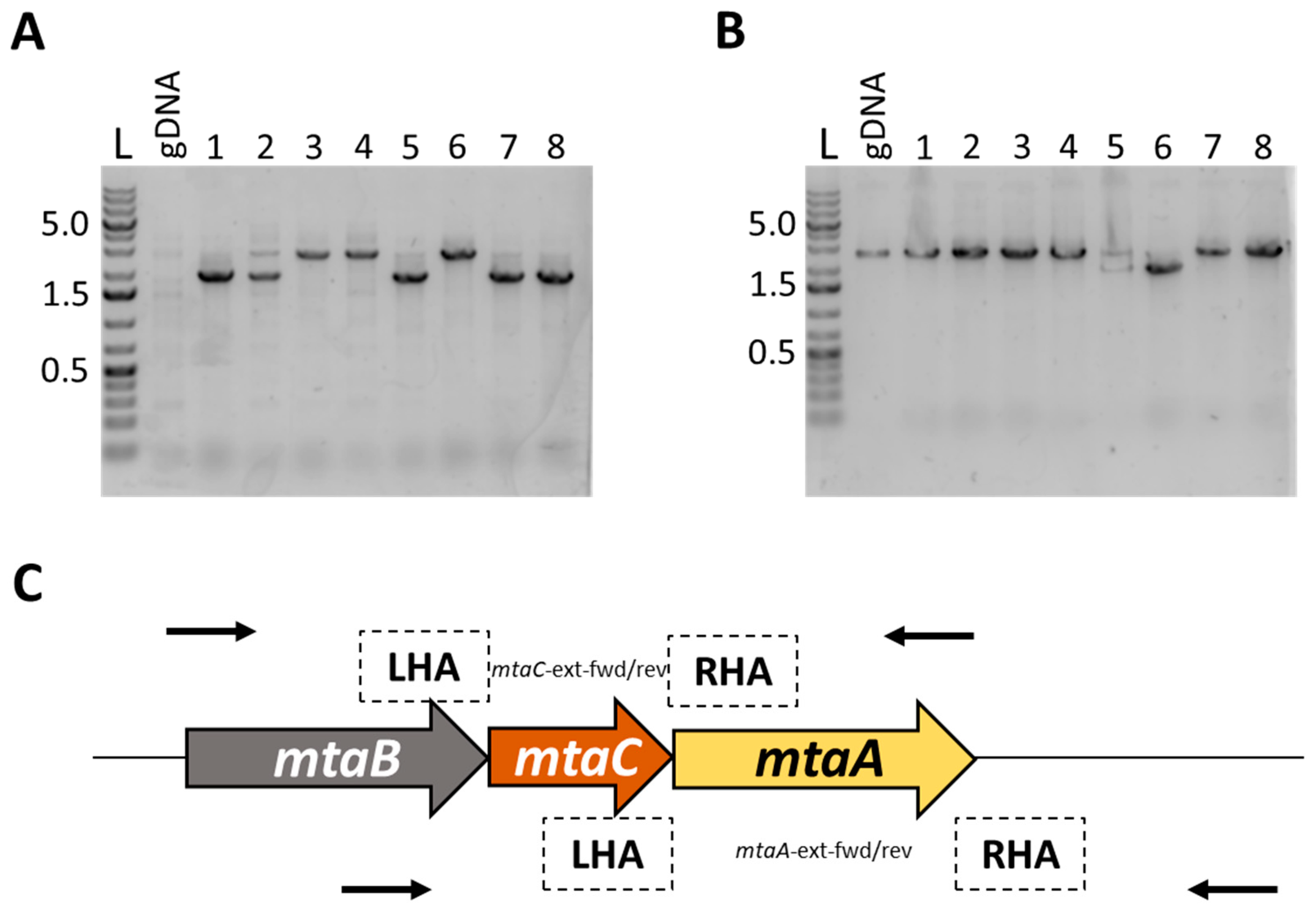 Microorganisms 11 01256 g004 Microorganisms 11 01256 g004
