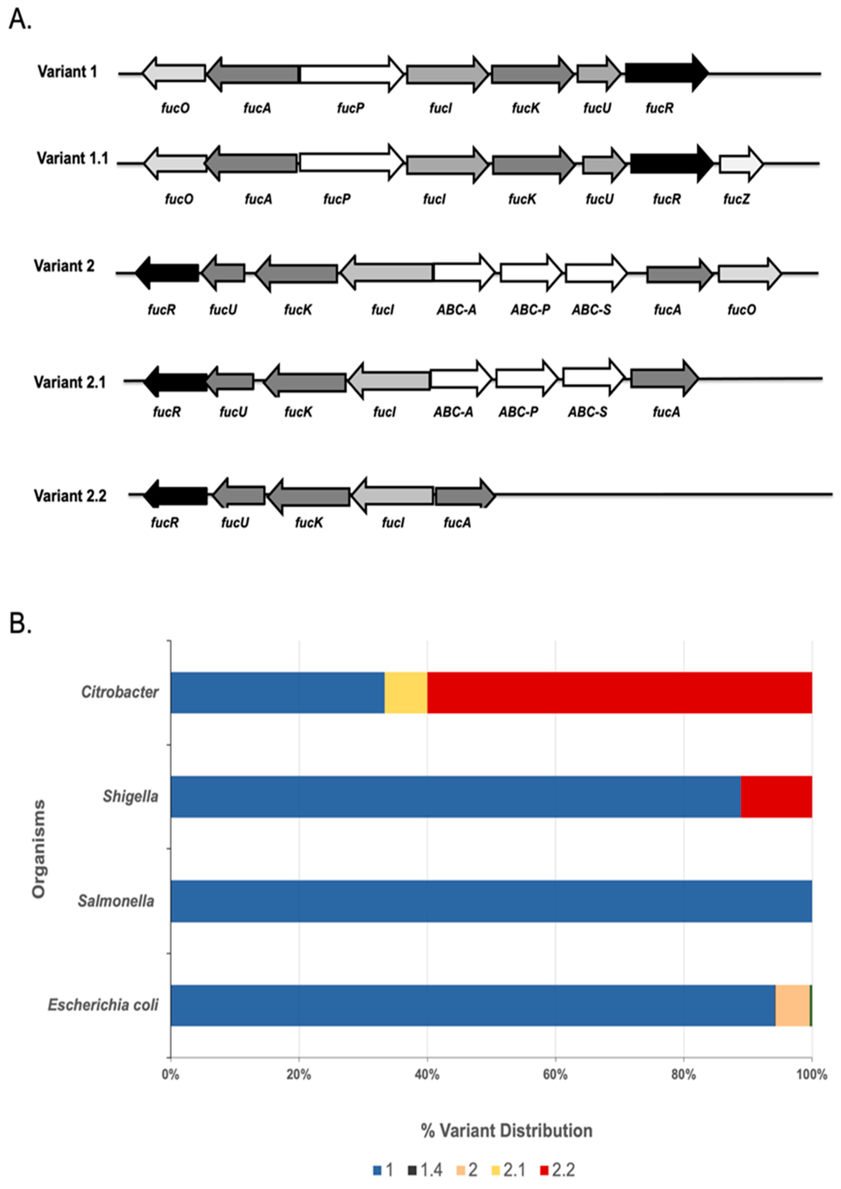 Microorganisms 11 01265 g001 Microorganisms 11 01265 g001