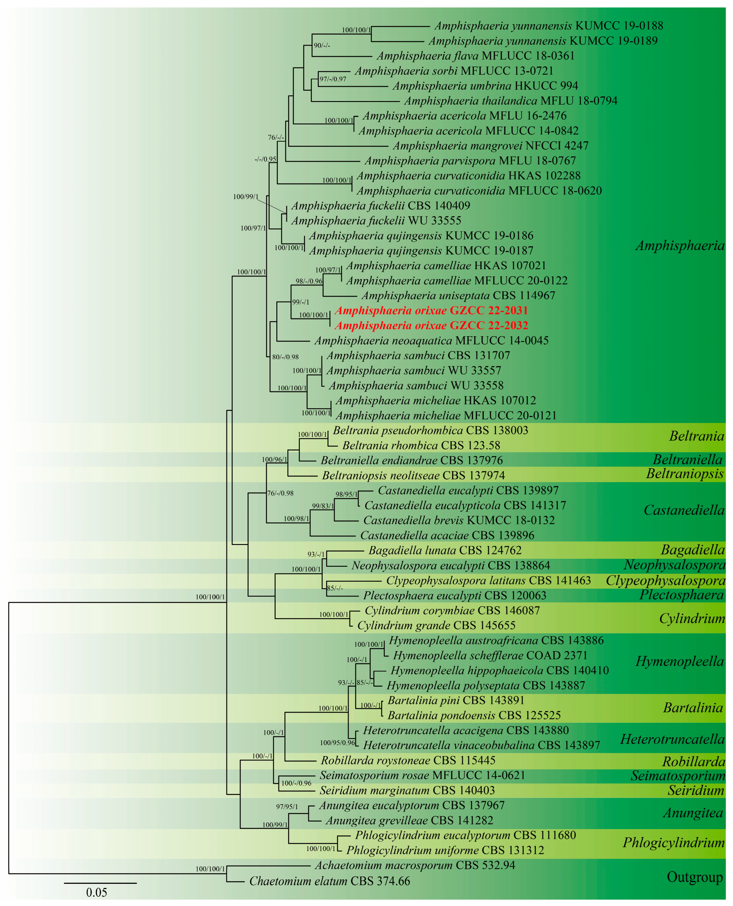 Microorganisms 11 01268 g001 Microorganisms 11 01268 g001