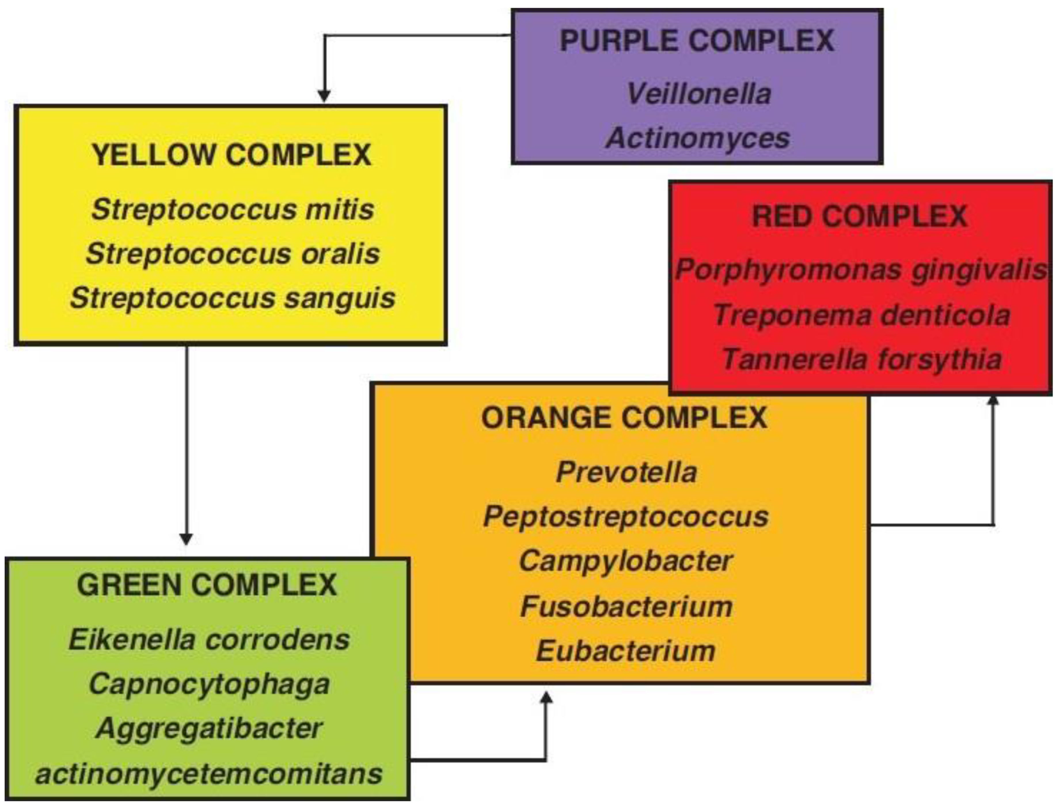 Microorganisms 11 01269 g001