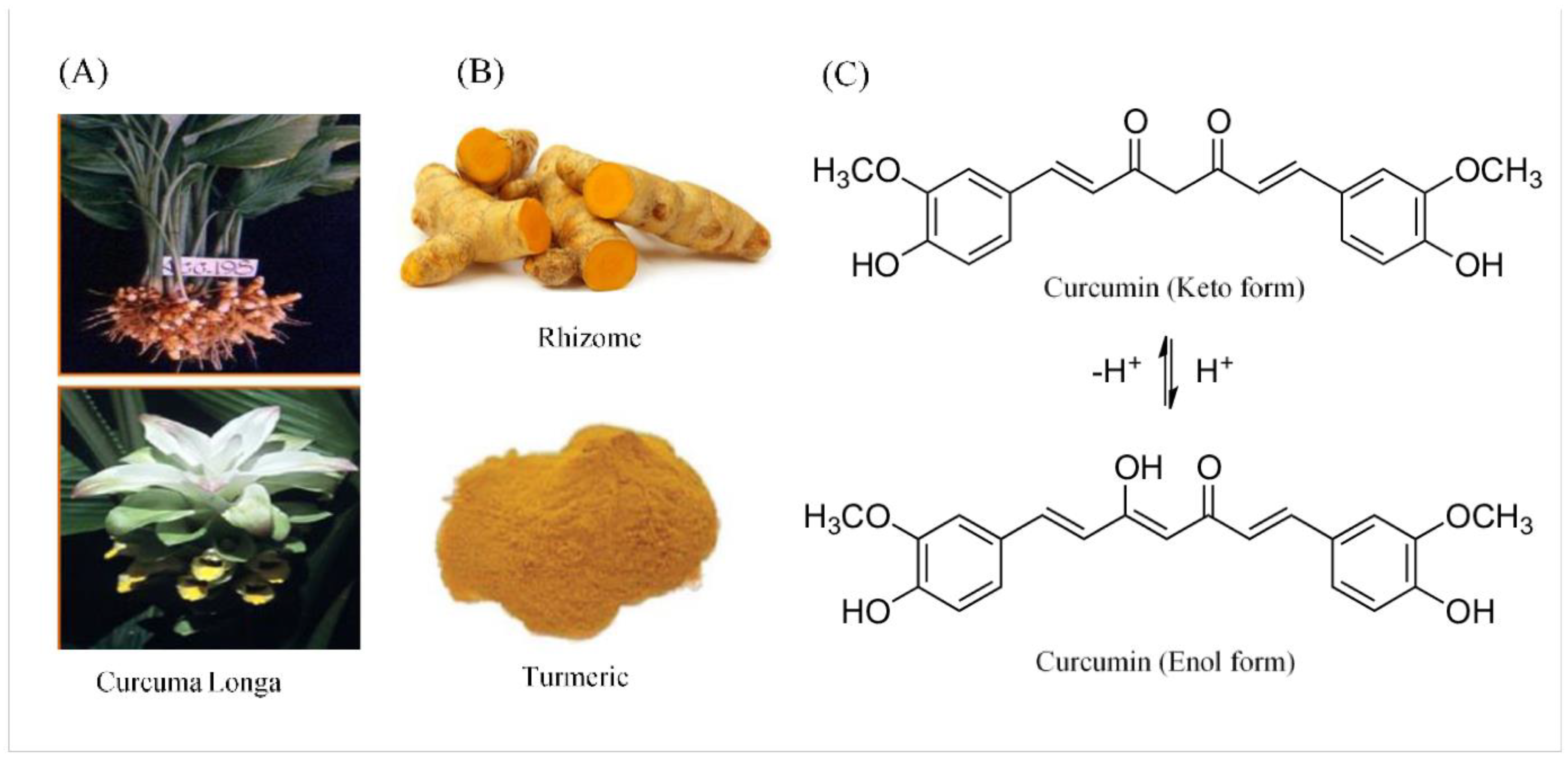 Microorganisms 11 01269 g007