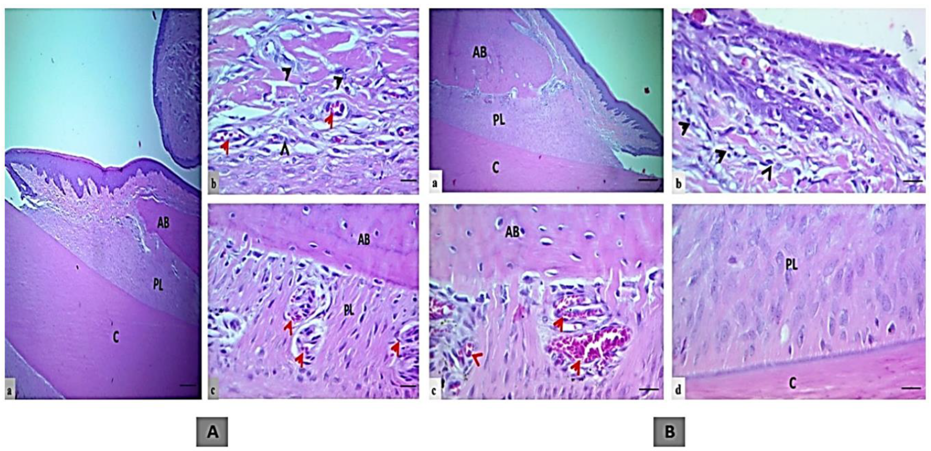Microorganisms 11 01269 g012