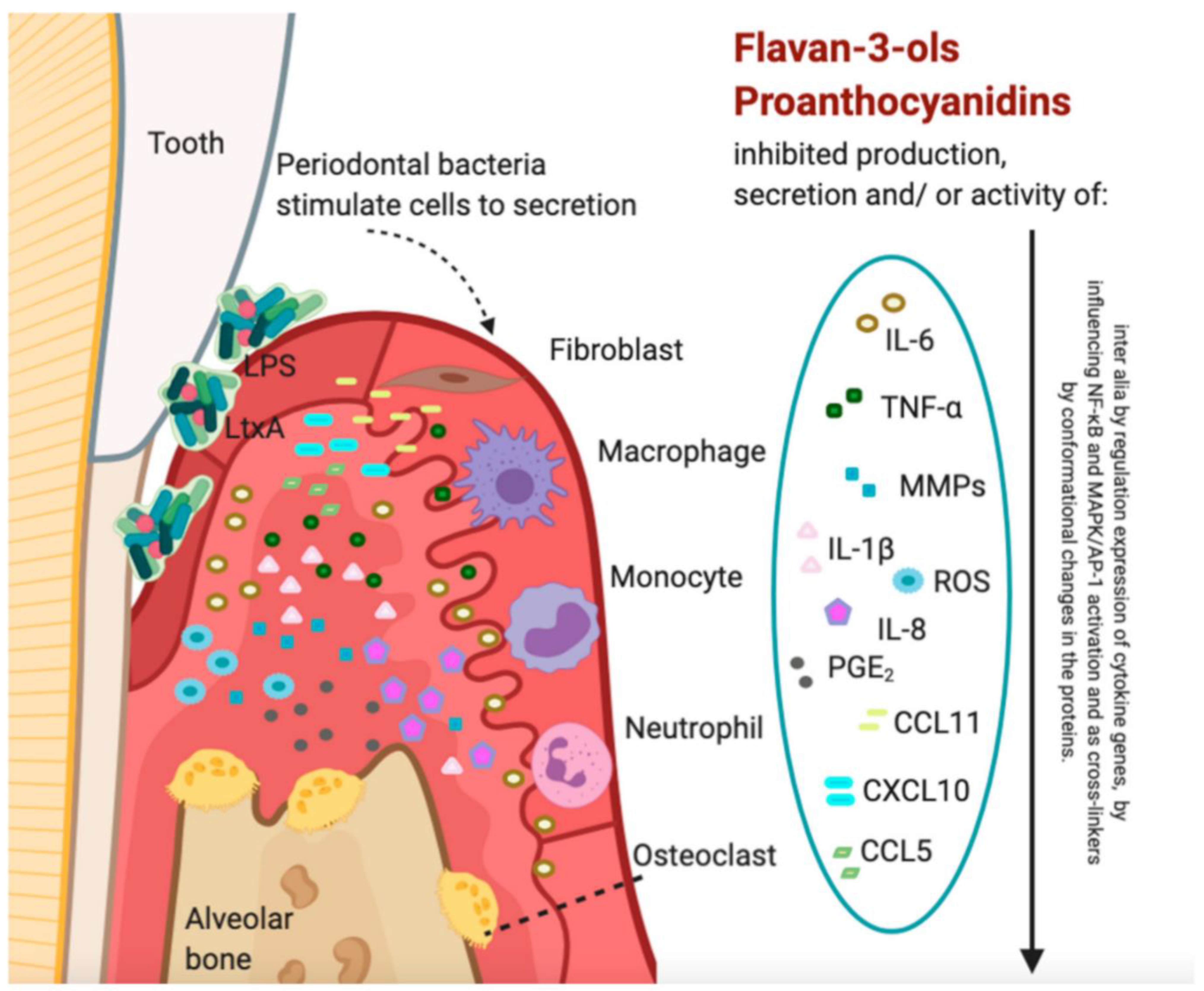 Microorganisms 11 01269 g015