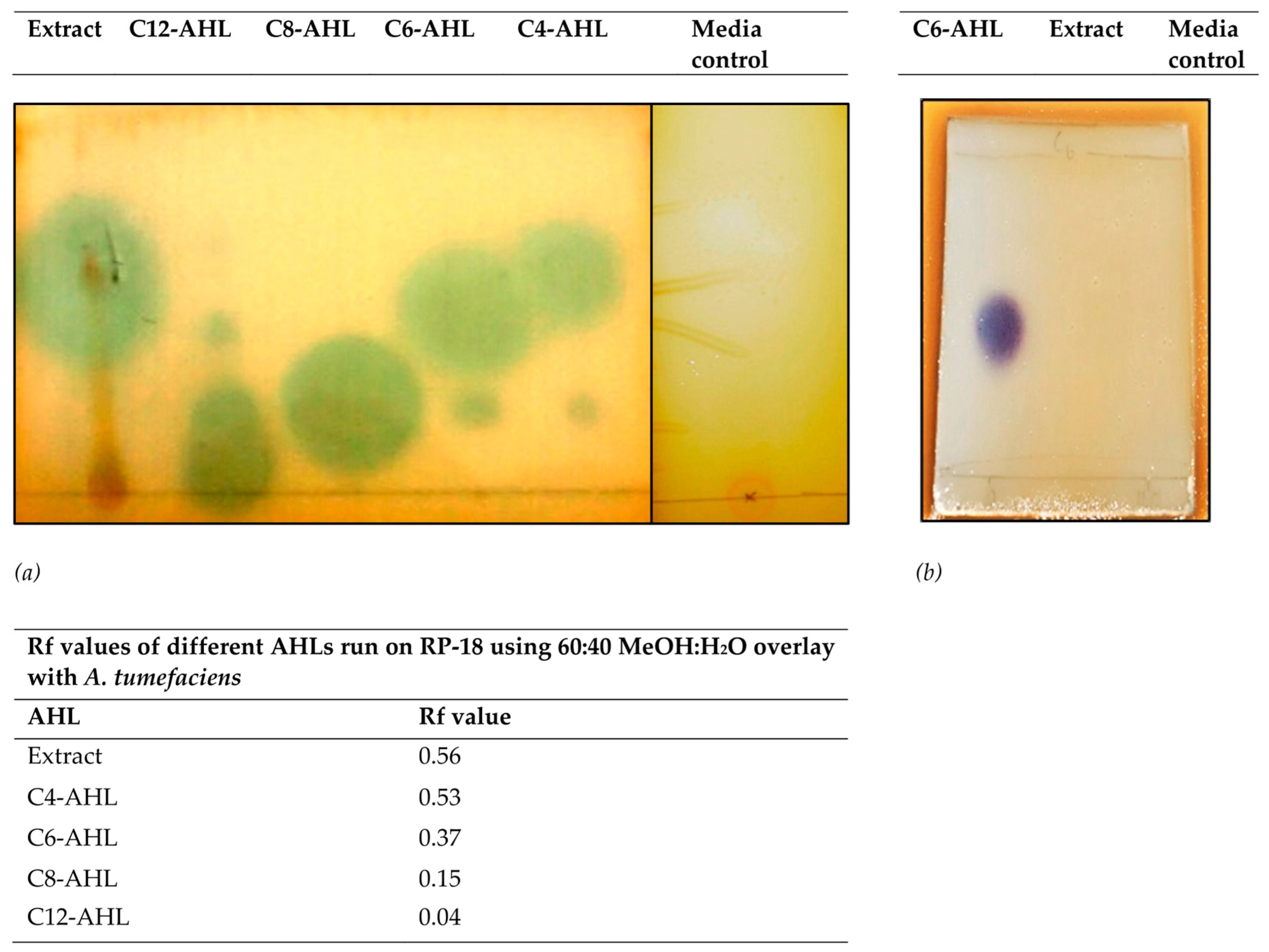 Microorganisms 11 01271 g001 Microorganisms 11 01271 g001