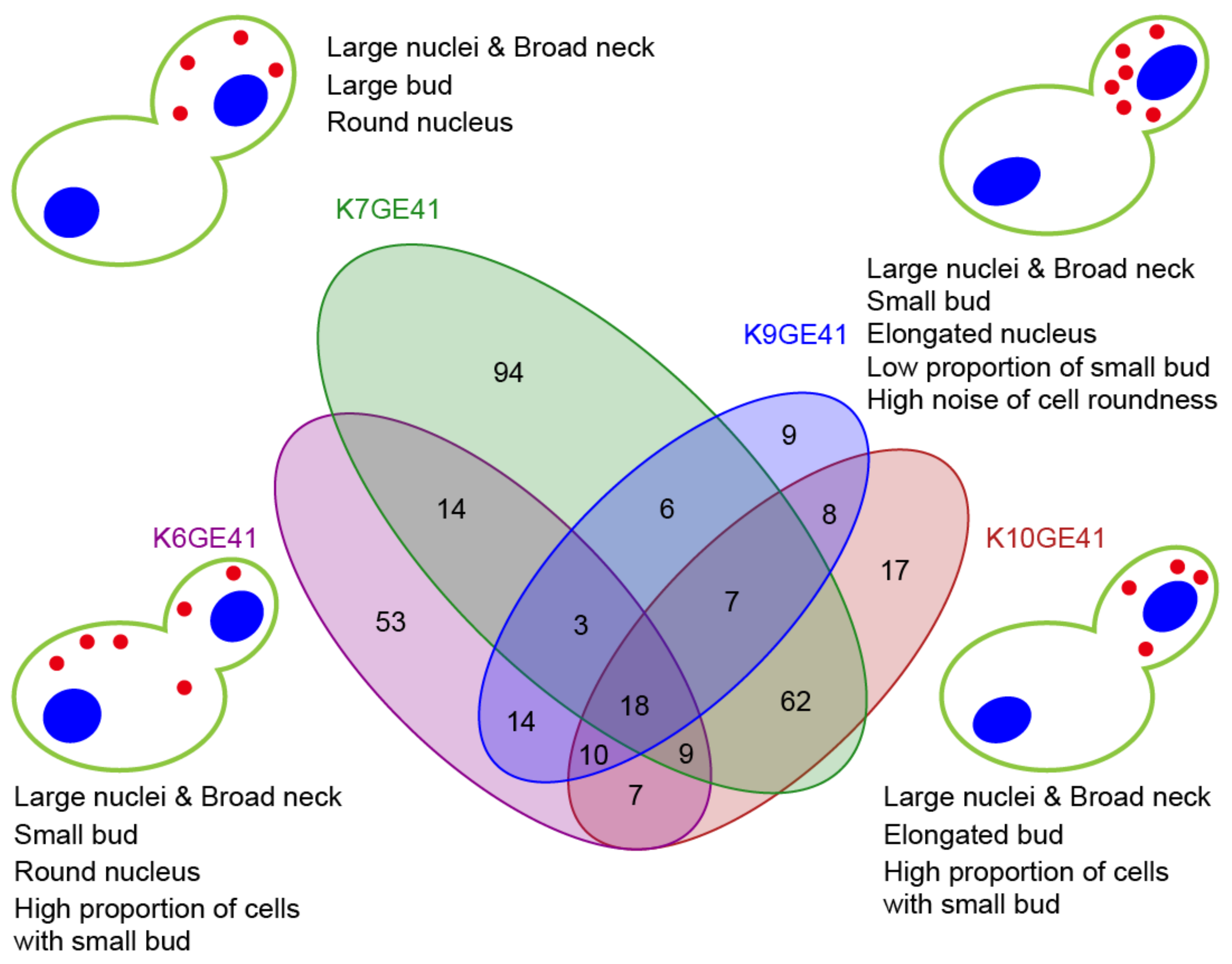 Microorganisms 11 01274 g006