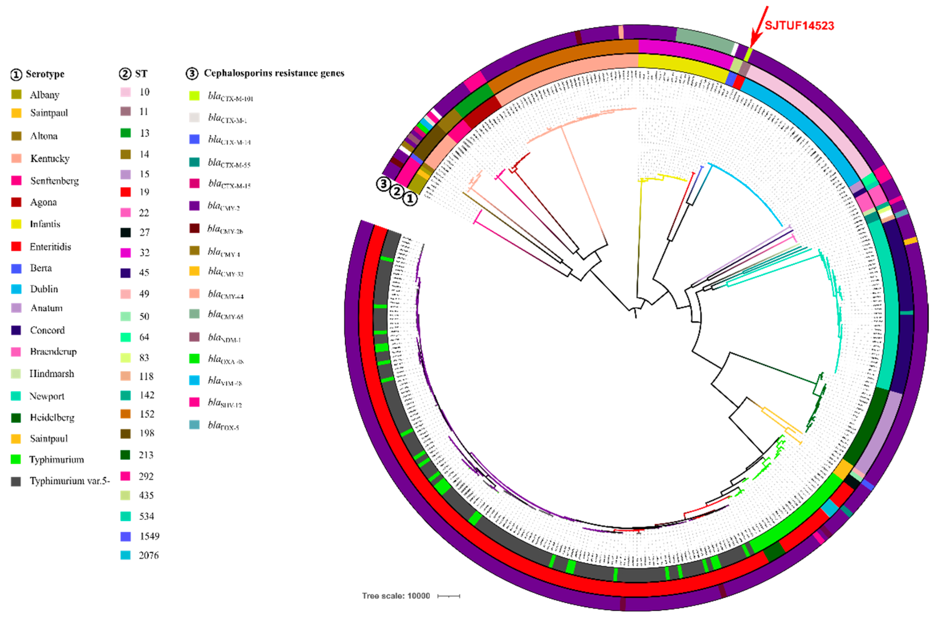 Microorganisms 11 01275 g001