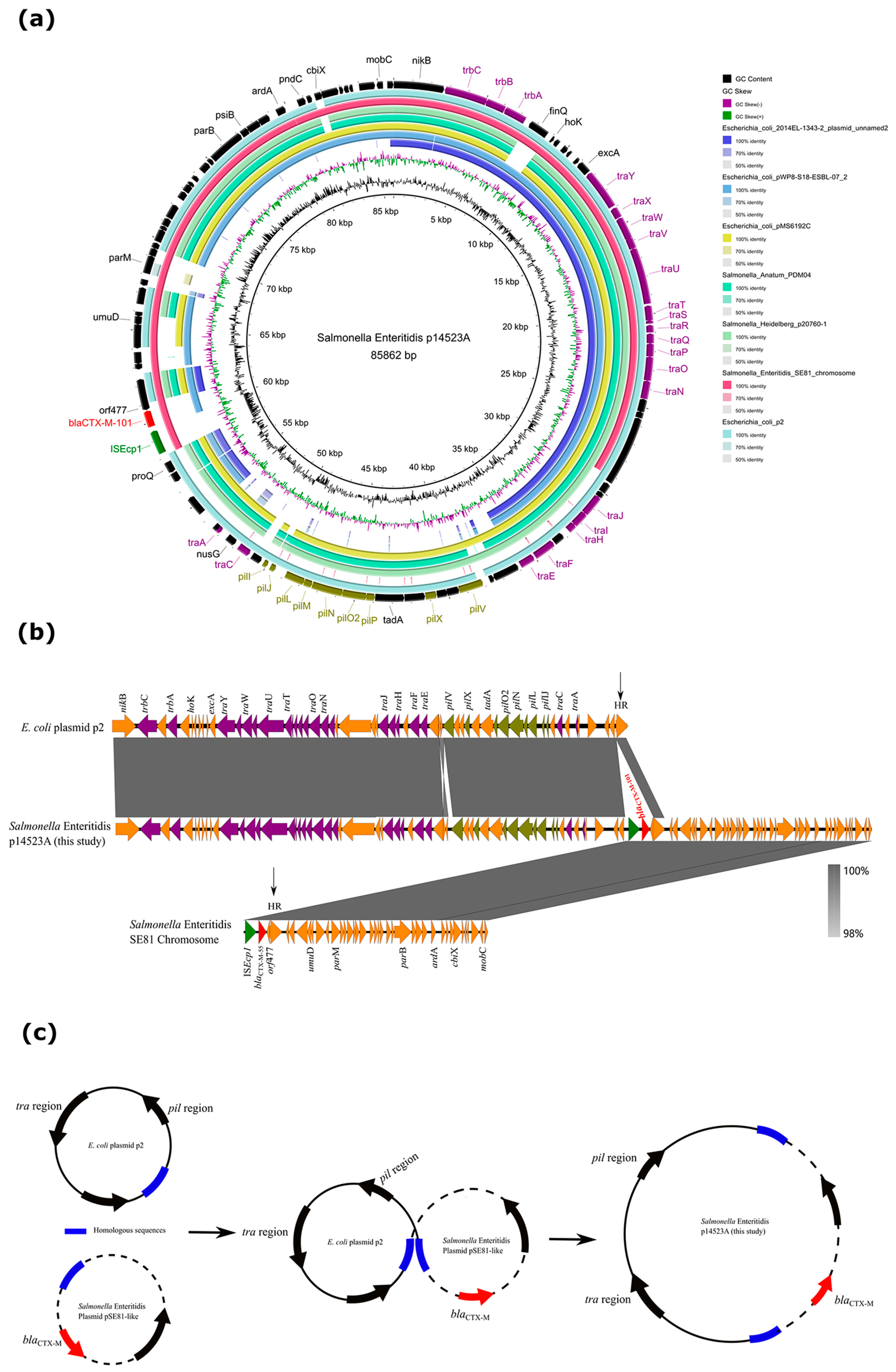 Microorganisms 11 01275 g002