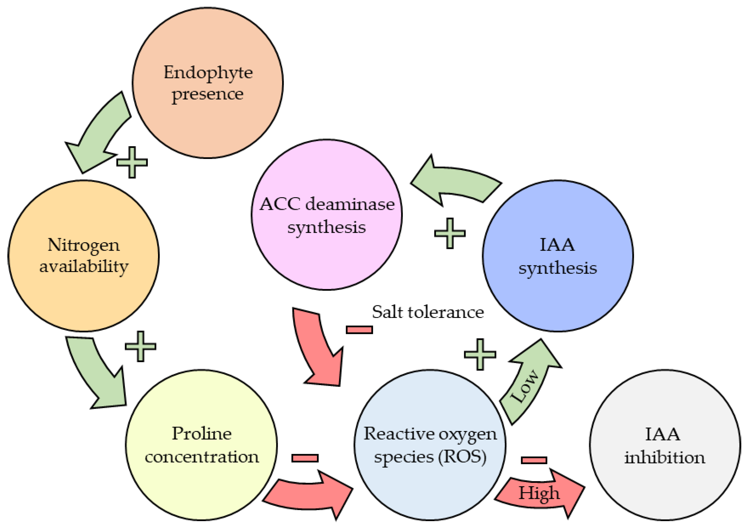 Microorganisms 11 01276 g005