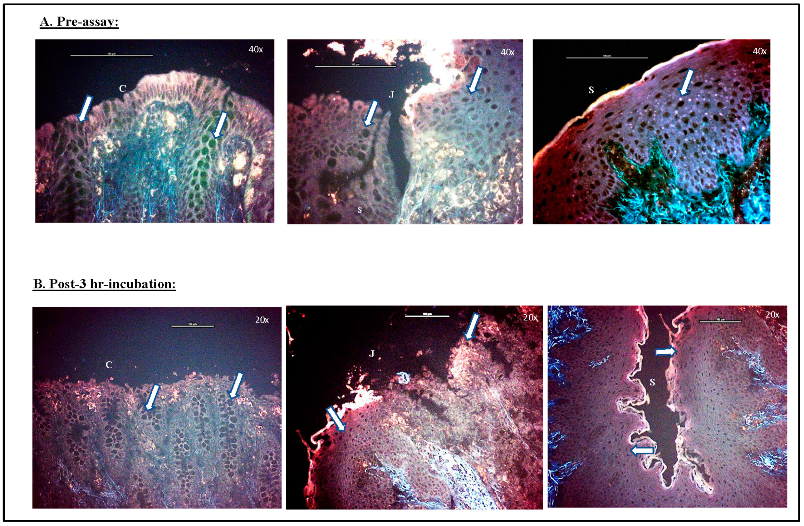 Microorganisms 11 01289 g005 Microorganisms 11 01289 g005