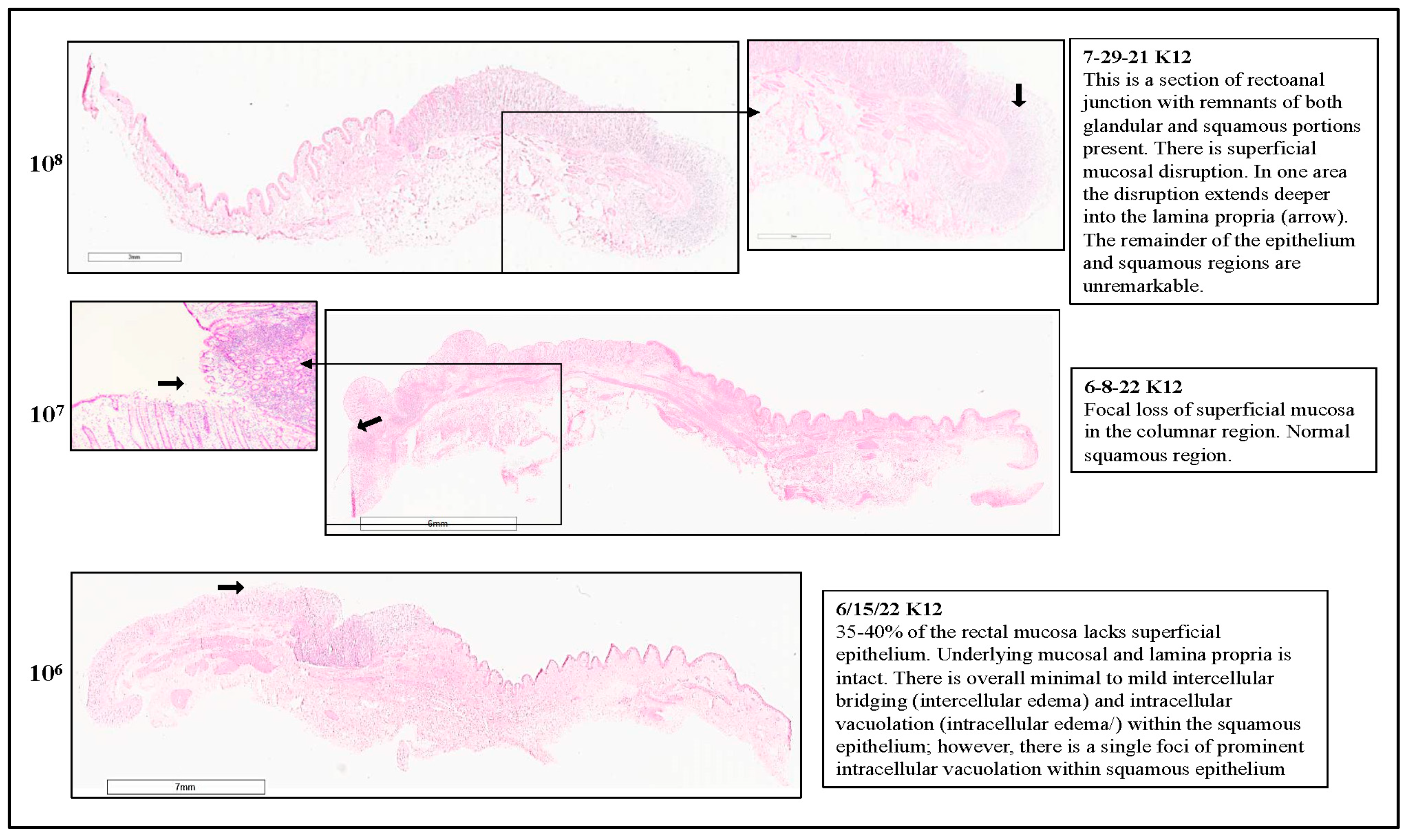 Microorganisms 11 01289 g013 Microorganisms 11 01289 g013