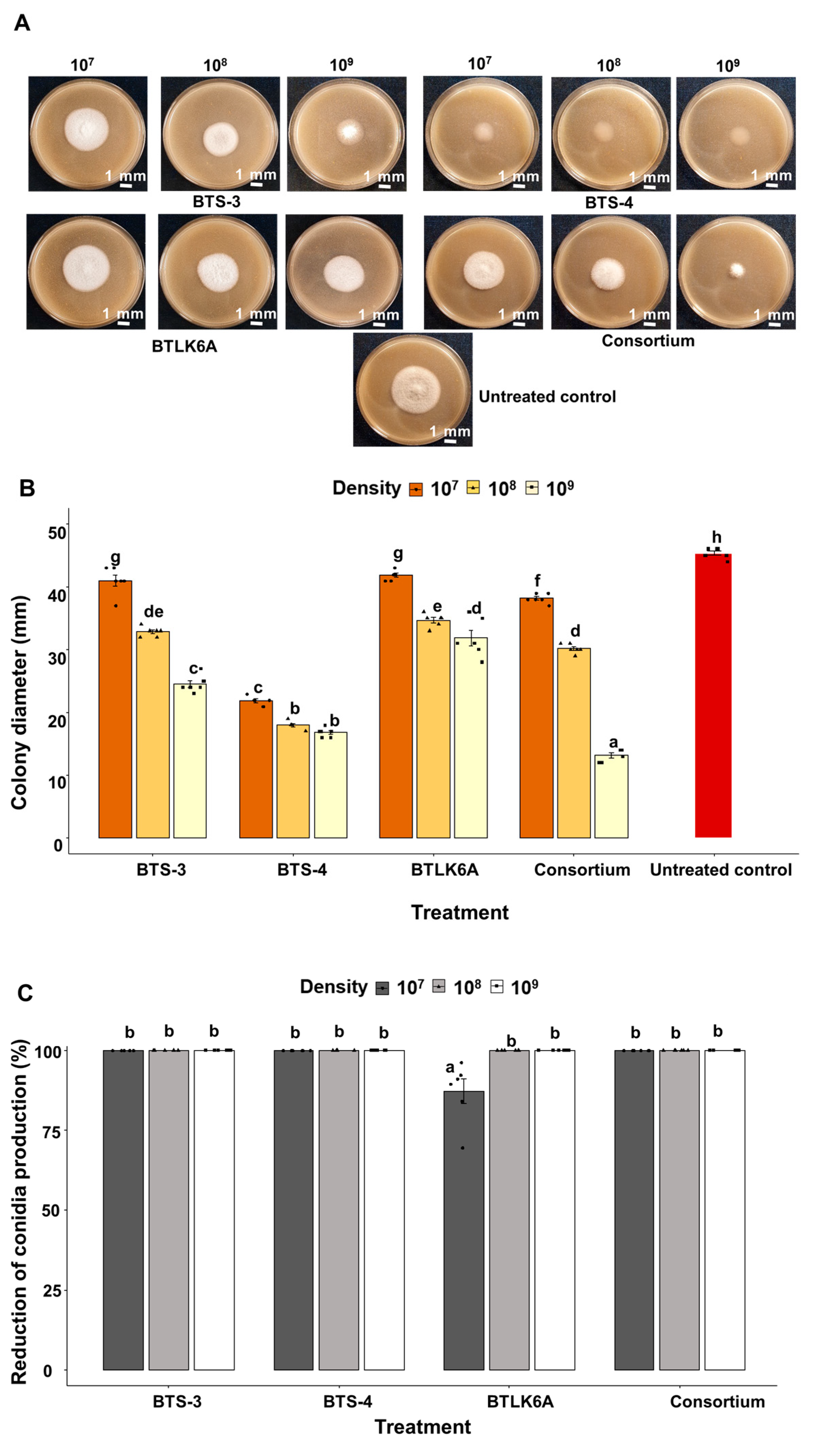 Microorganisms 11 01291 g002 Microorganisms 11 01291 g002