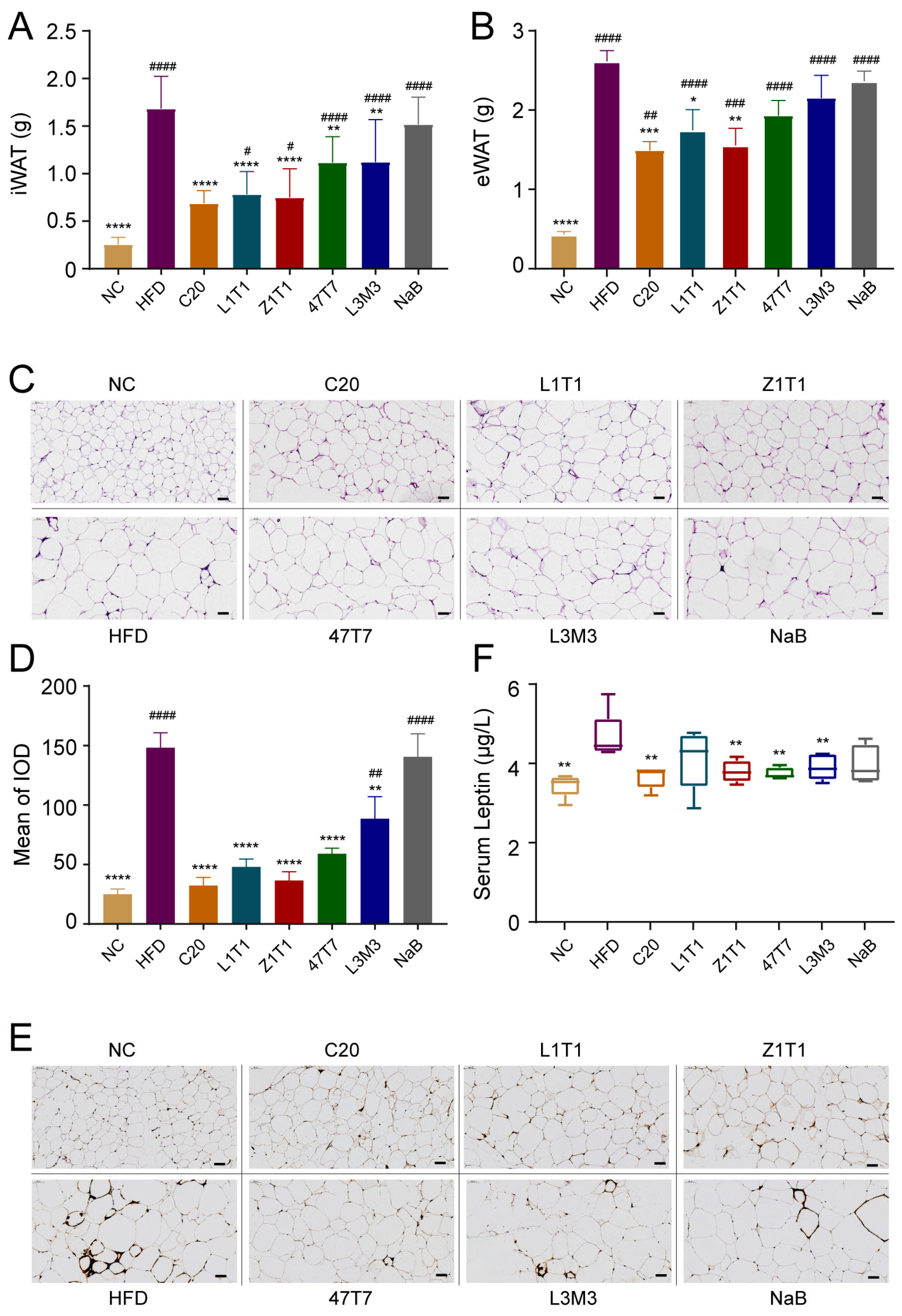 Microorganisms 11 01292 g002