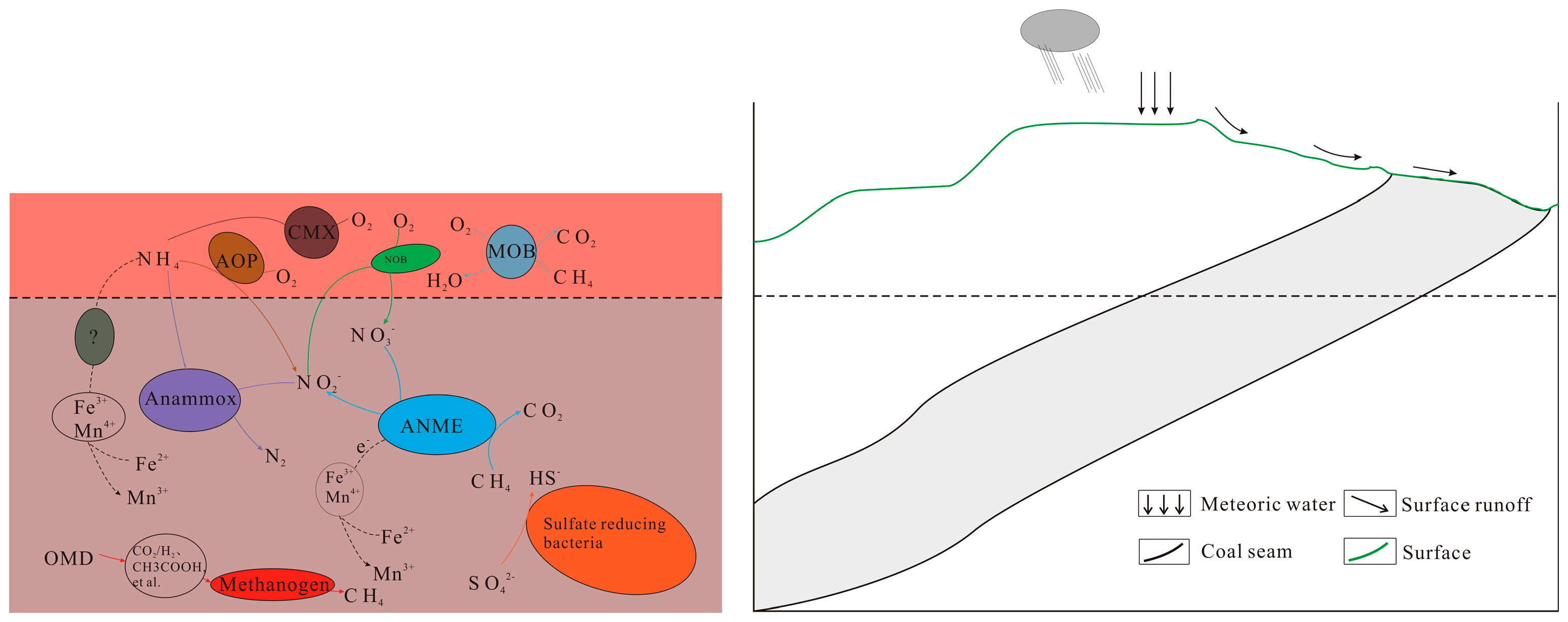 Research Progress and Prospects on Microbial Response and
