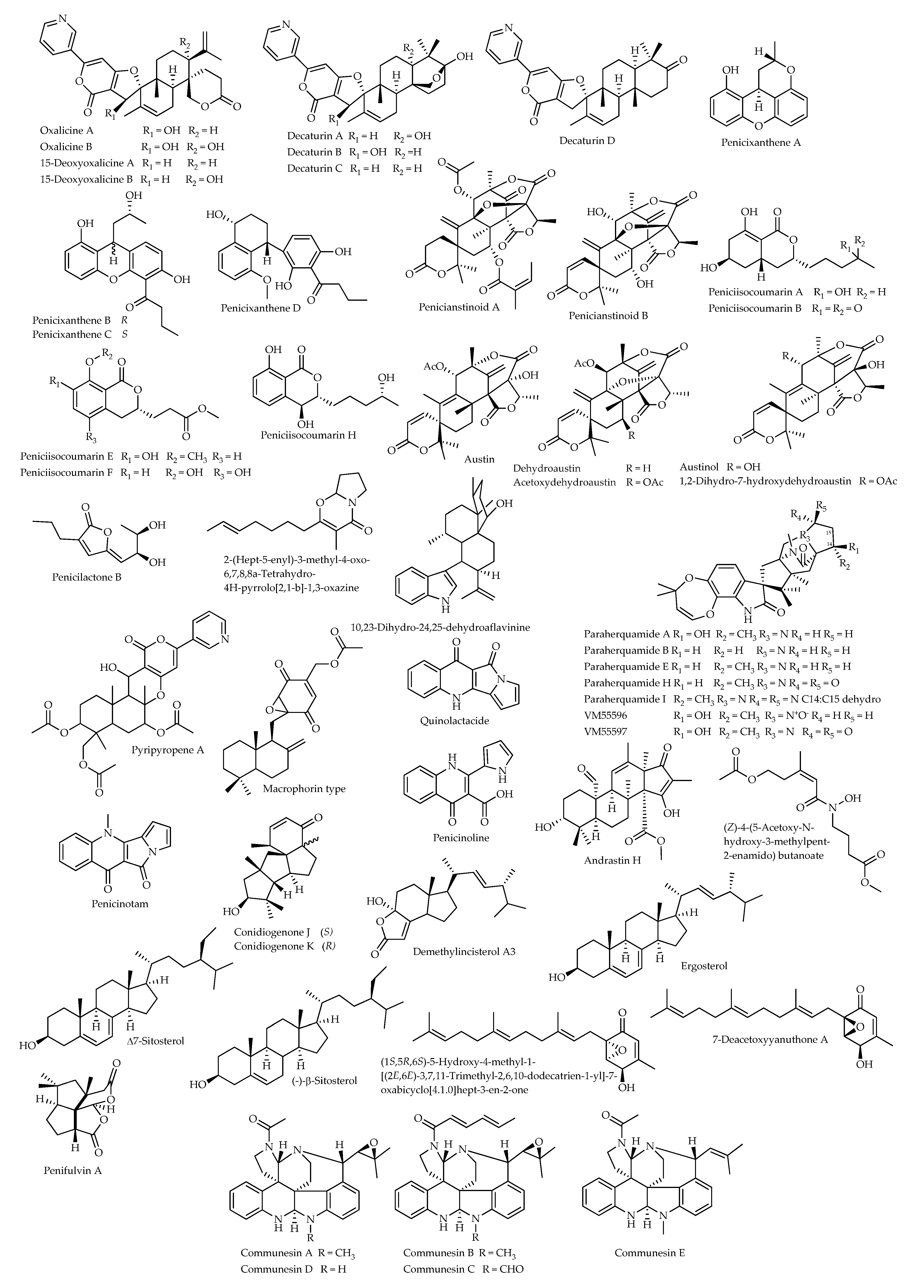 Microorganisms 11 01302 g002