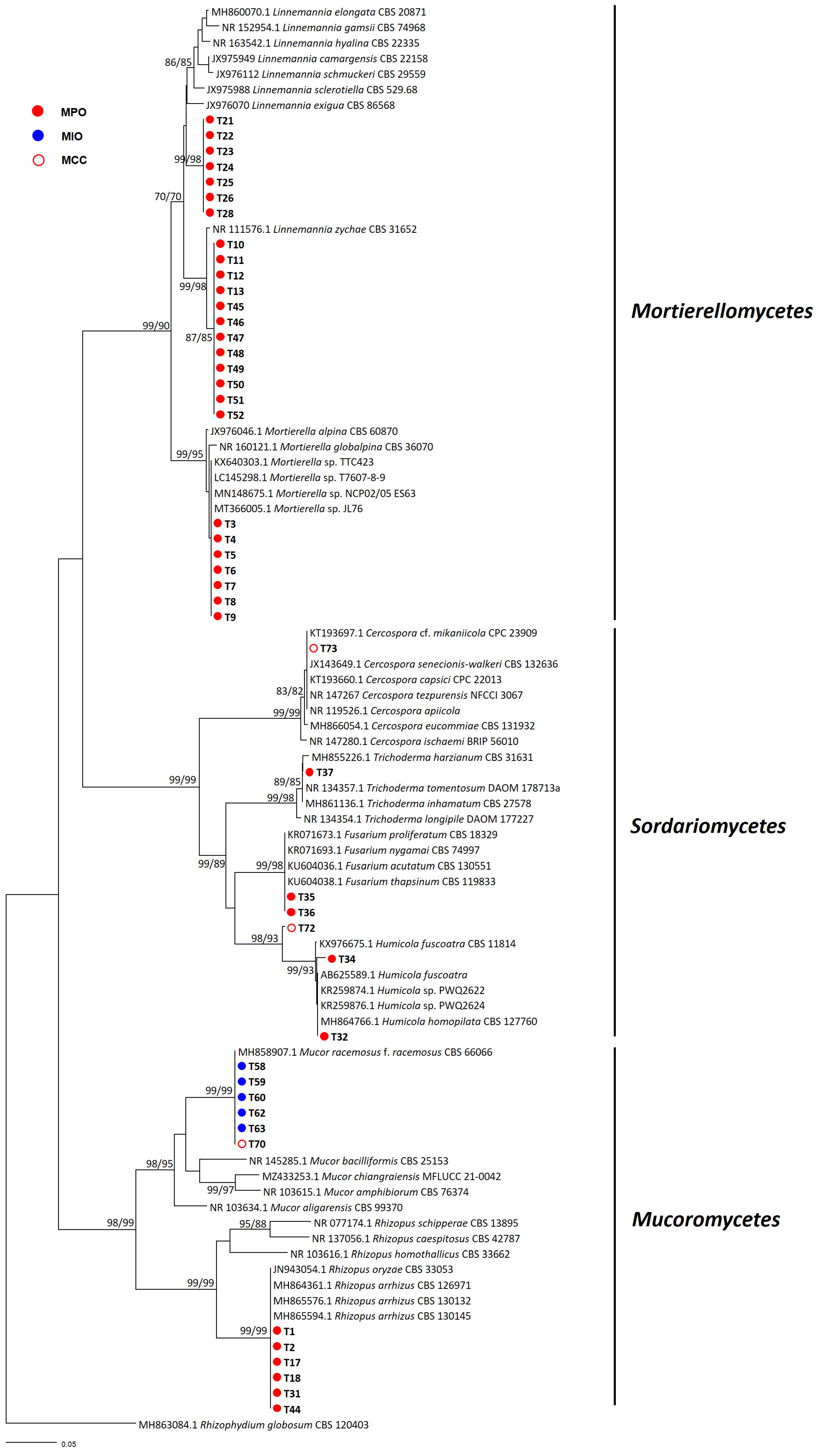 Microorganisms 11 01307 g001 Microorganisms 11 01307 g001