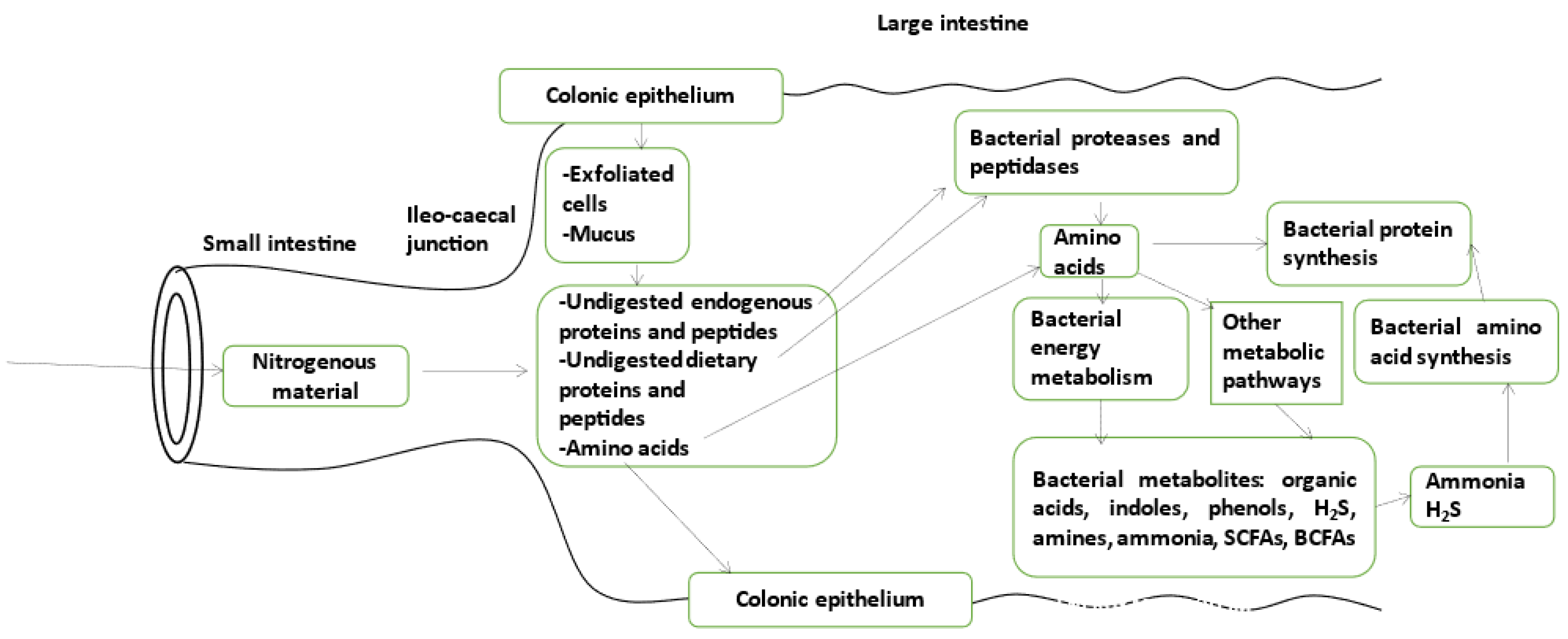 Microorganisms 11 01317 g001
