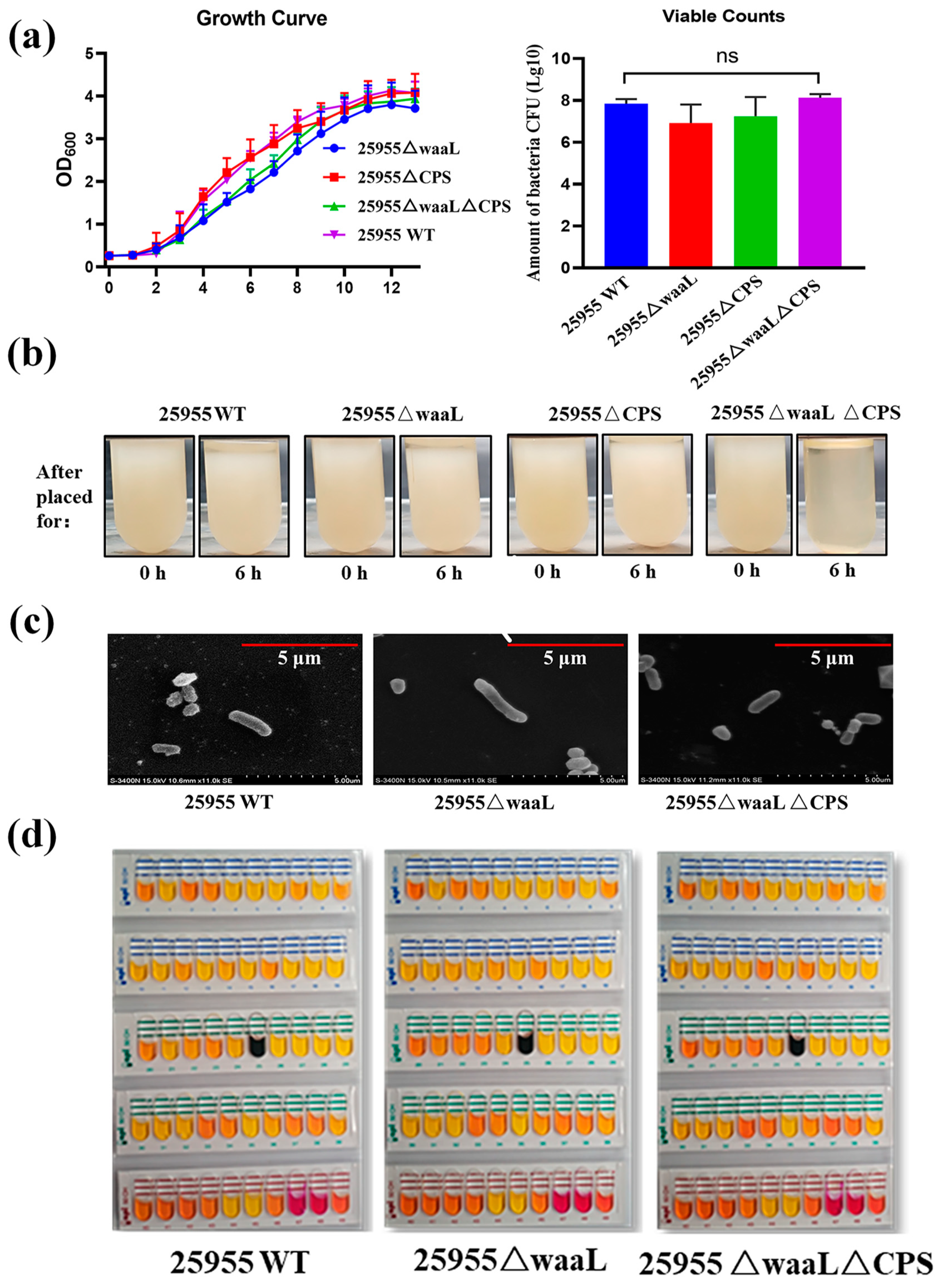 Microorganisms 11 01321 g002