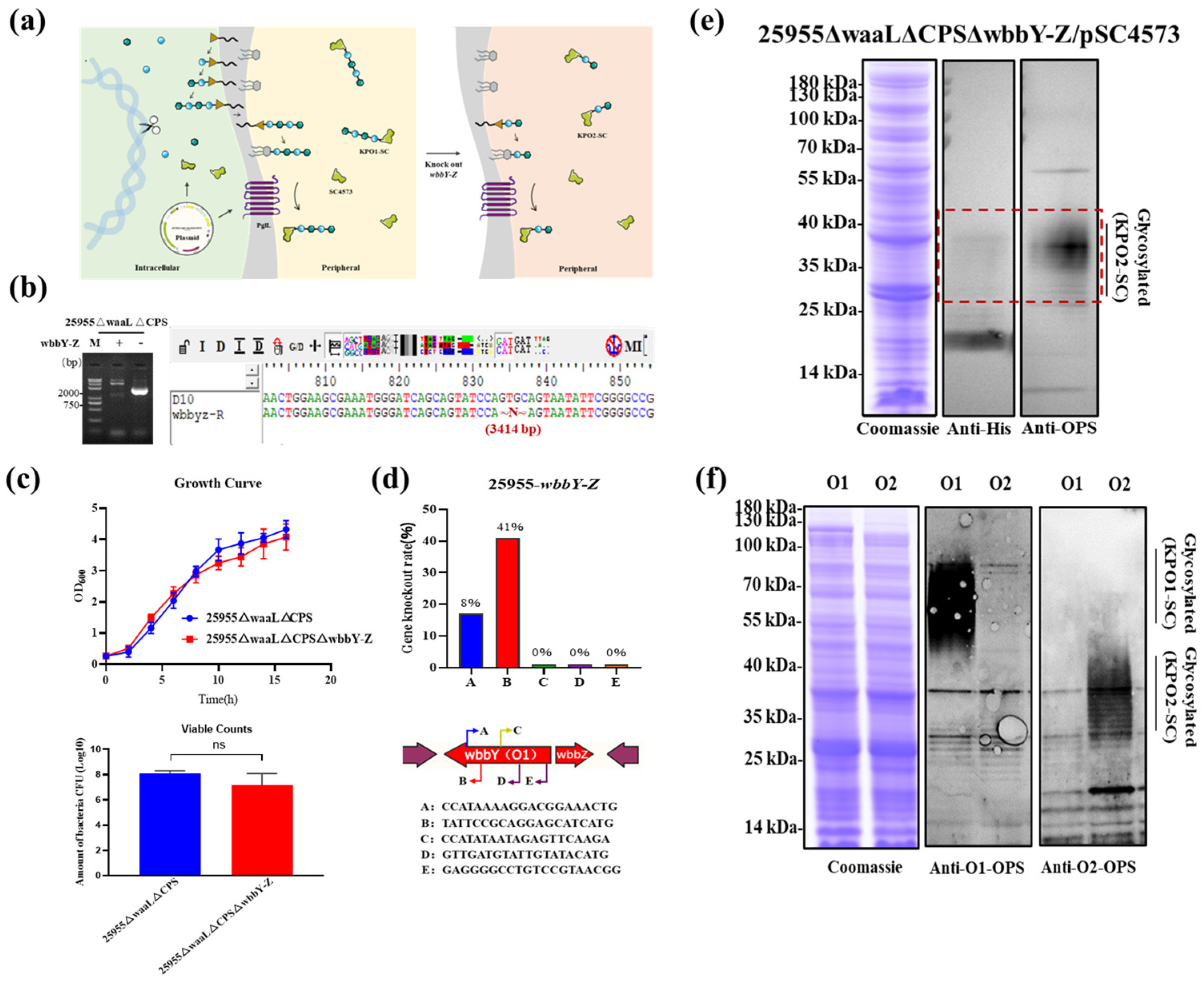 Microorganisms 11 01321 g005