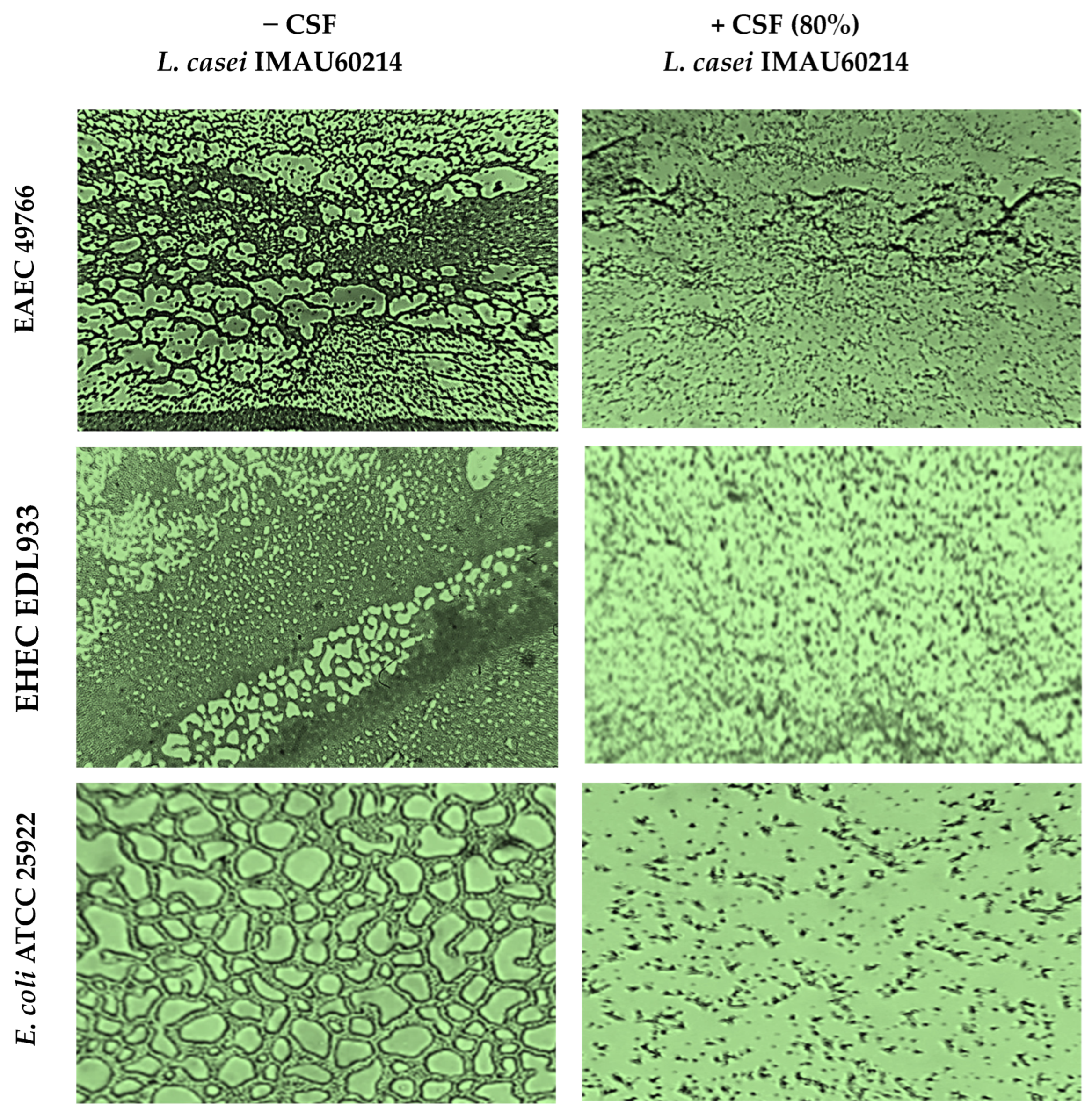Microorganisms 11 01324 g003