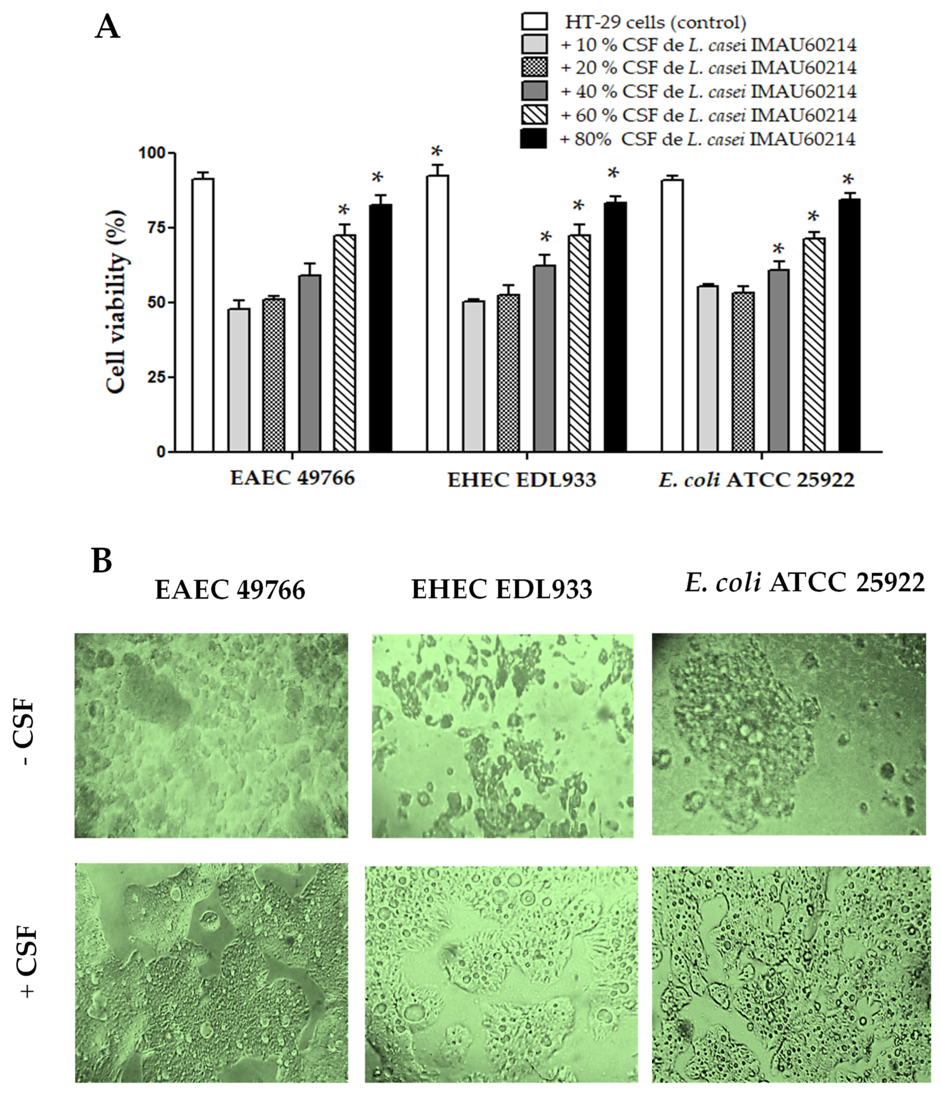 Microorganisms 11 01324 g006