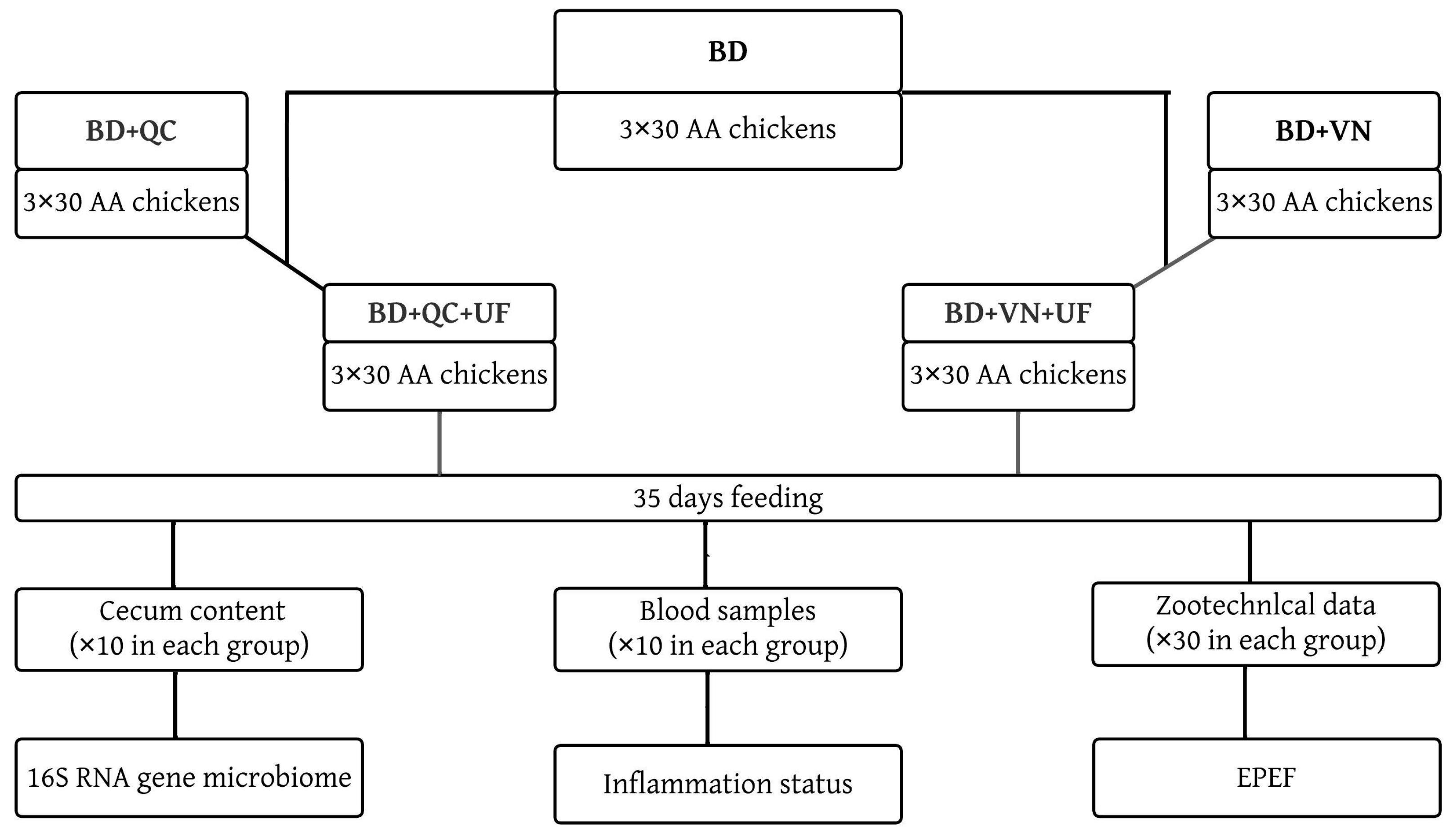 Microorganisms 11 01326 g001