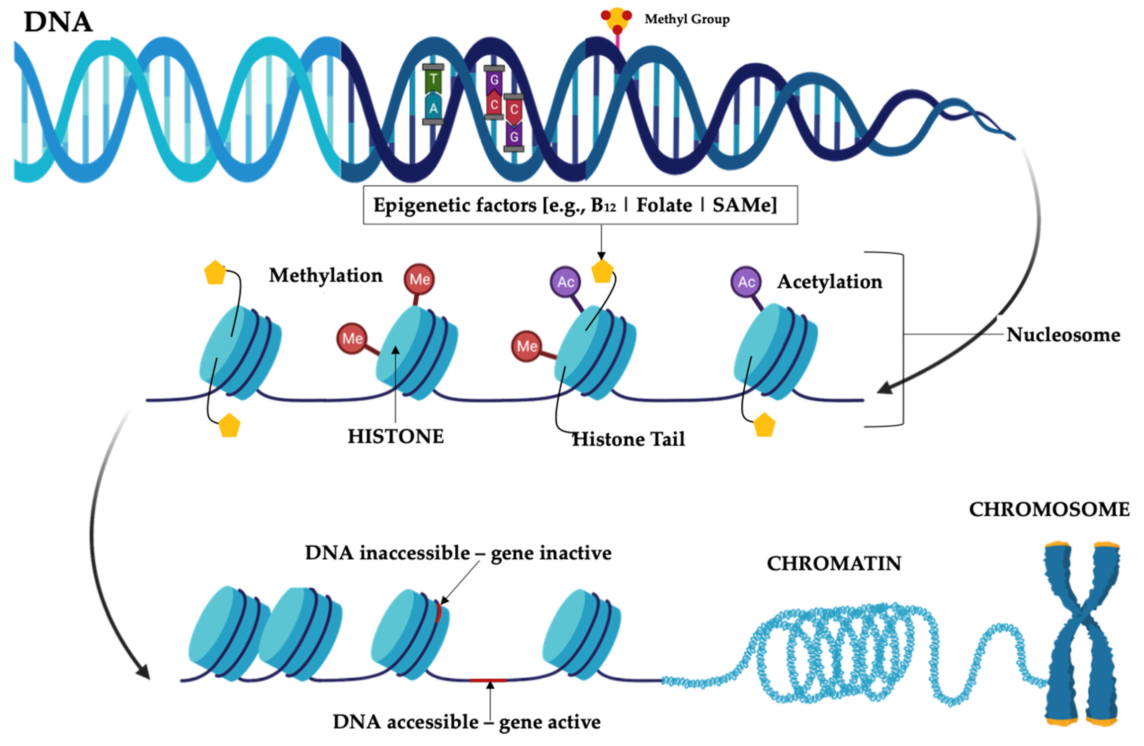 Microorganisms 11 01334 g002