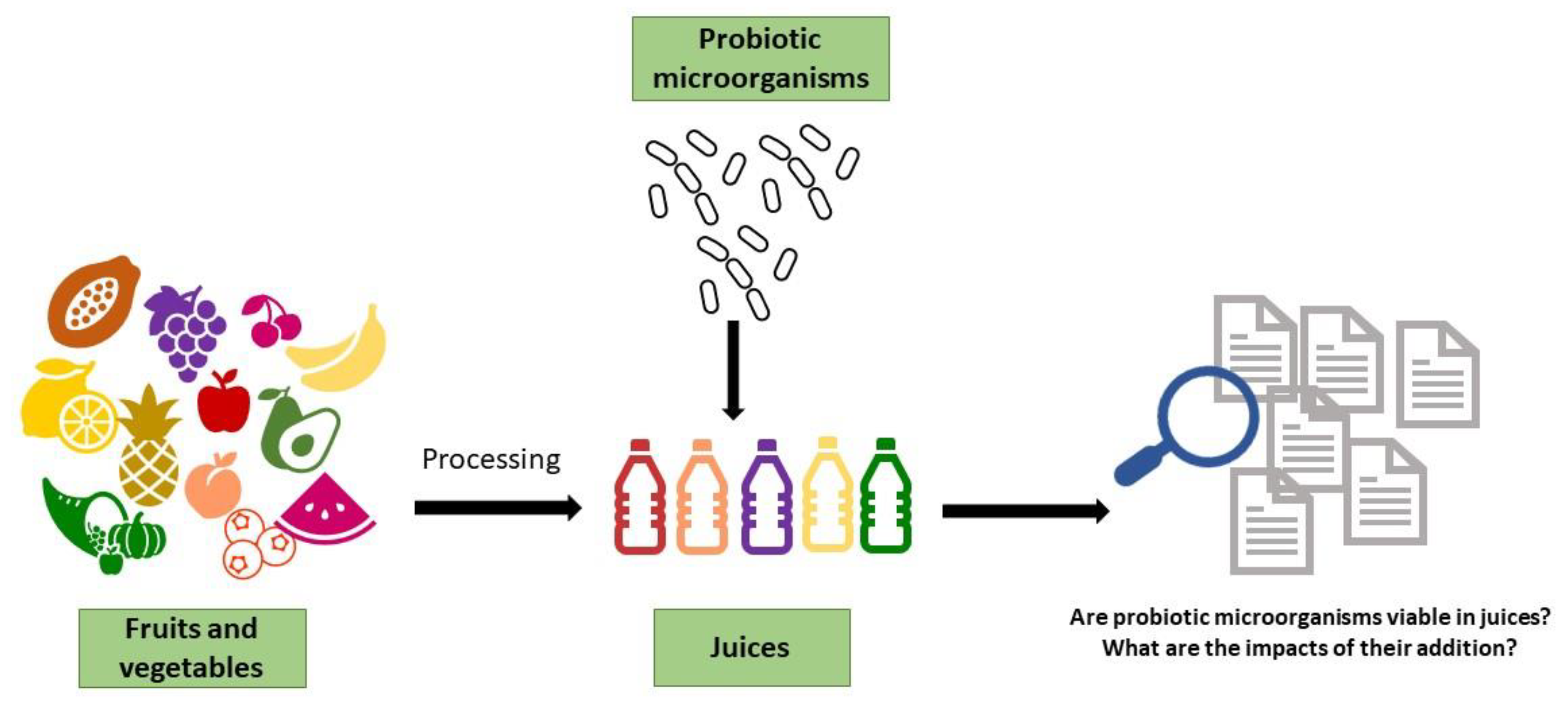 Microorganisms 11 01335 g001 Microorganisms 11 01335 g001