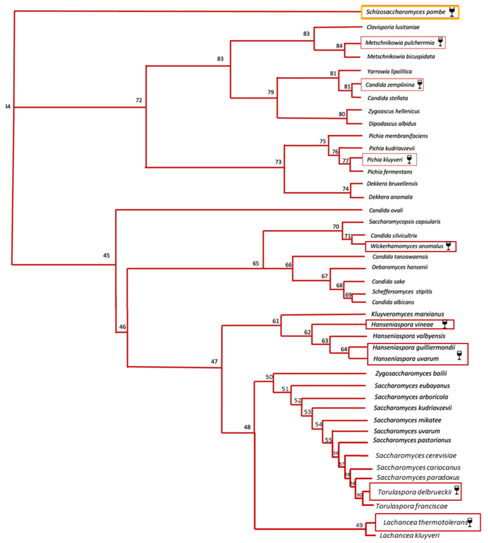 Microorganisms 11 01338 g004 Microorganisms 11 01338 g004