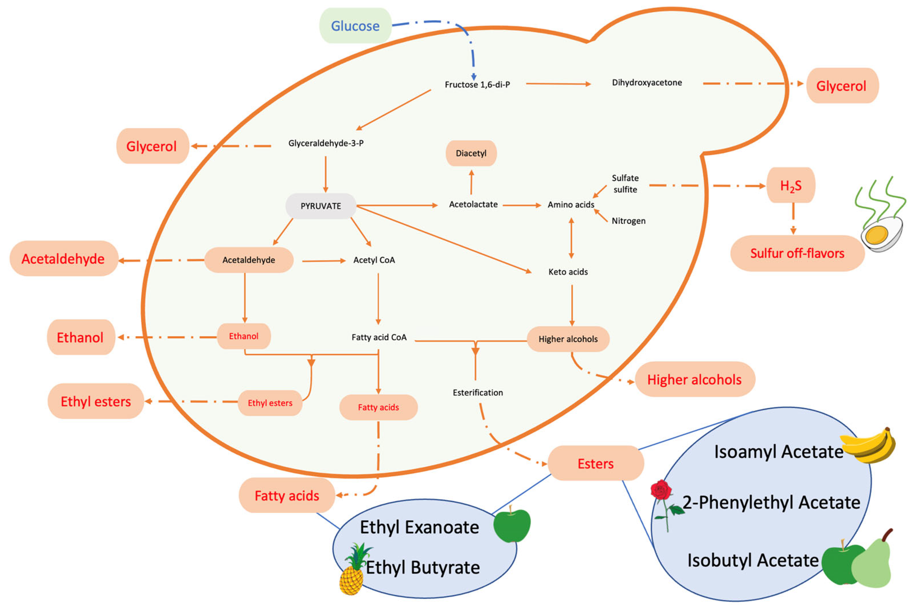 Microorganisms 11 01338 g005 Microorganisms 11 01338 g005
