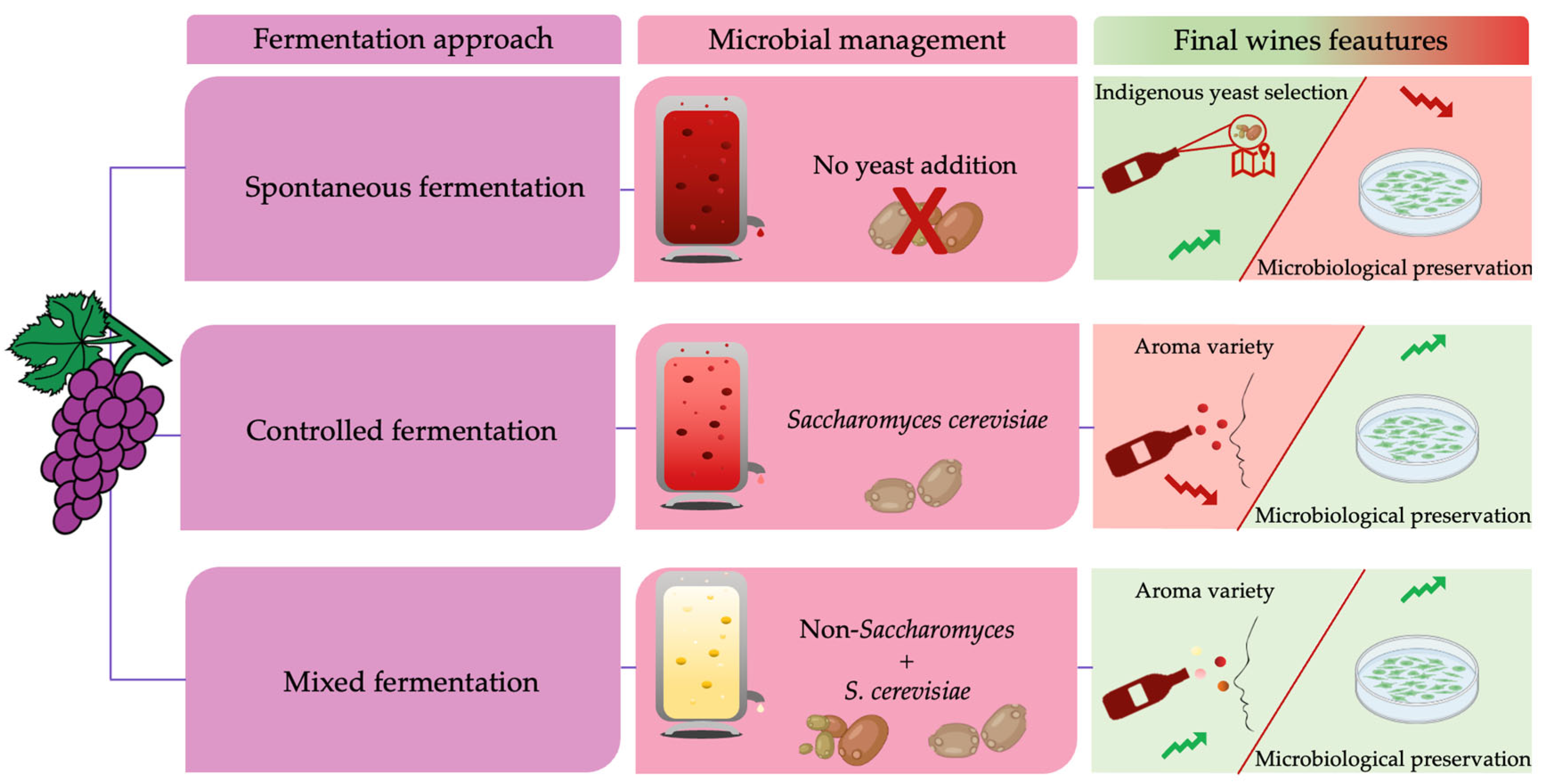 Microorganisms 11 01338 g006 Microorganisms 11 01338 g006