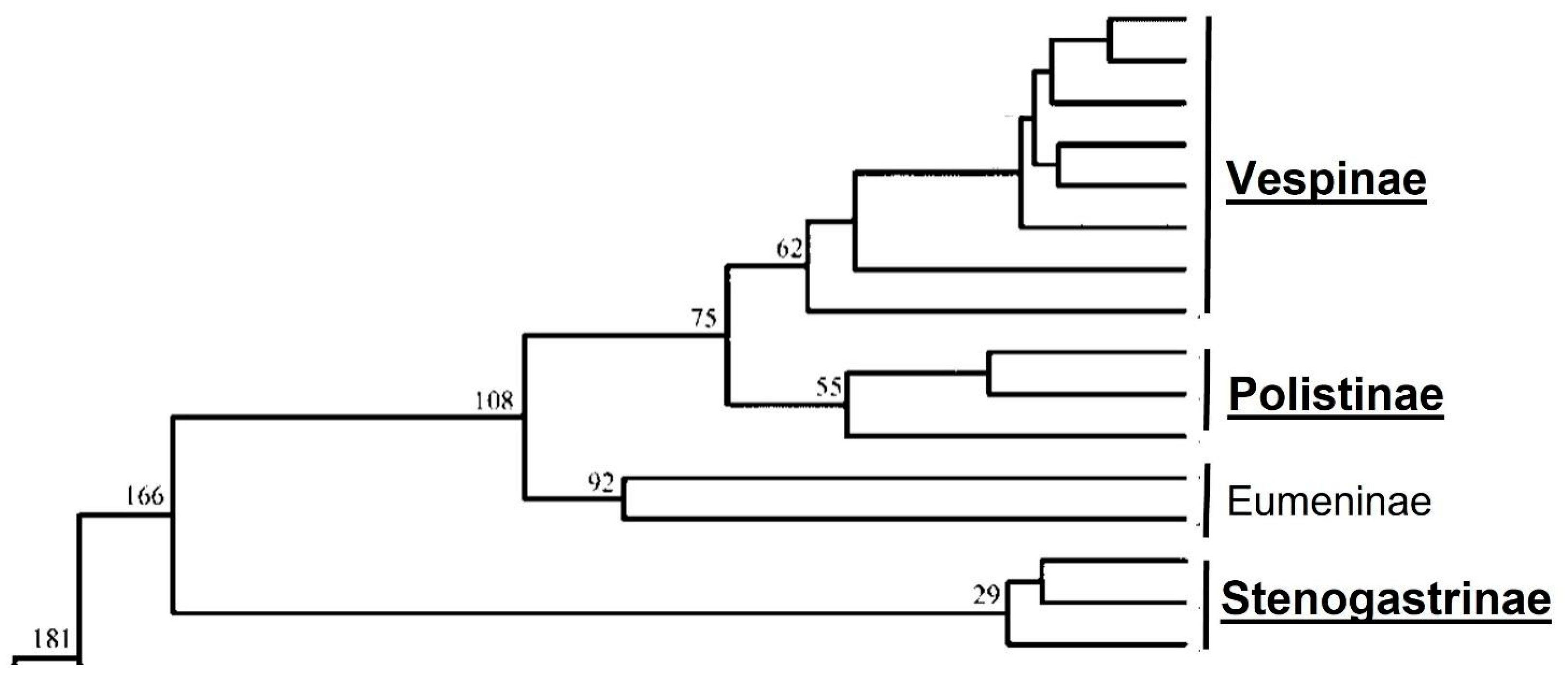 Microorganisms 11 01340 g001 Microorganisms 11 01340 g001