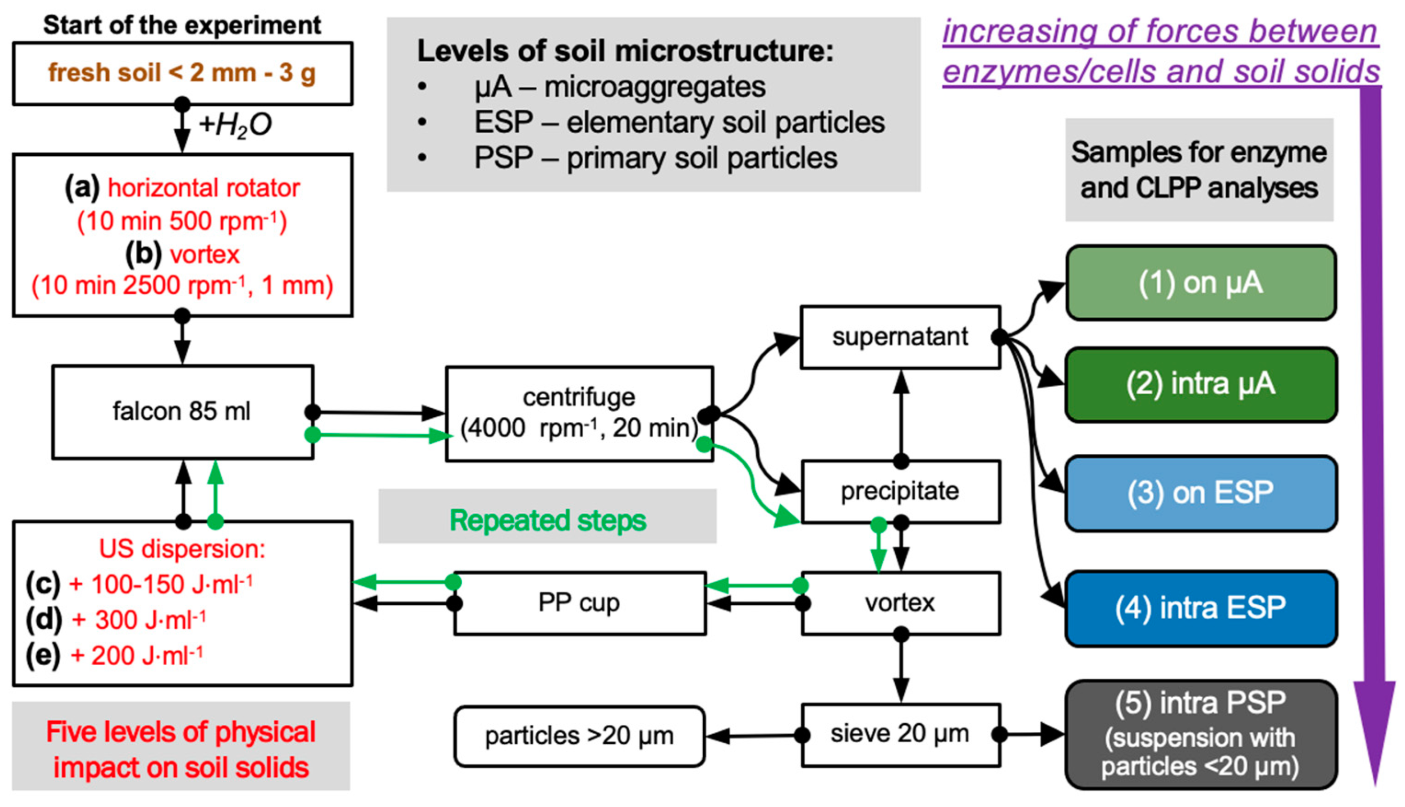 Microorganisms 11 01343 g001 Microorganisms 11 01343 g001