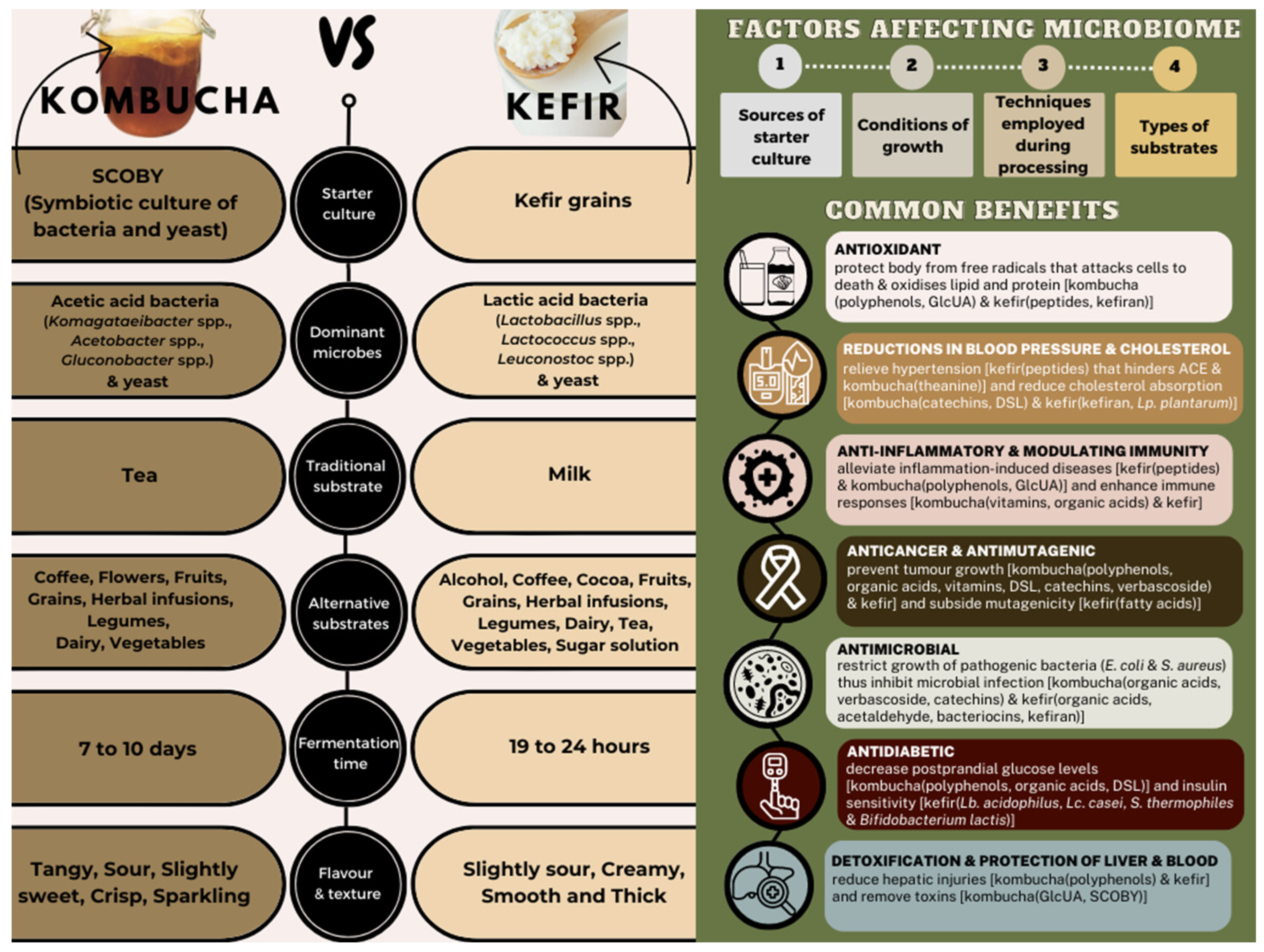 Microorganisms 11 01344 g001 Microorganisms 11 01344 g001